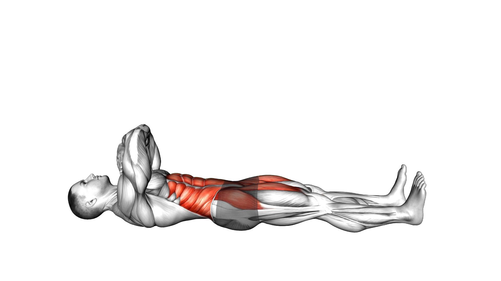 Straight Leg Crossed Arms Sit up exercise demonstration