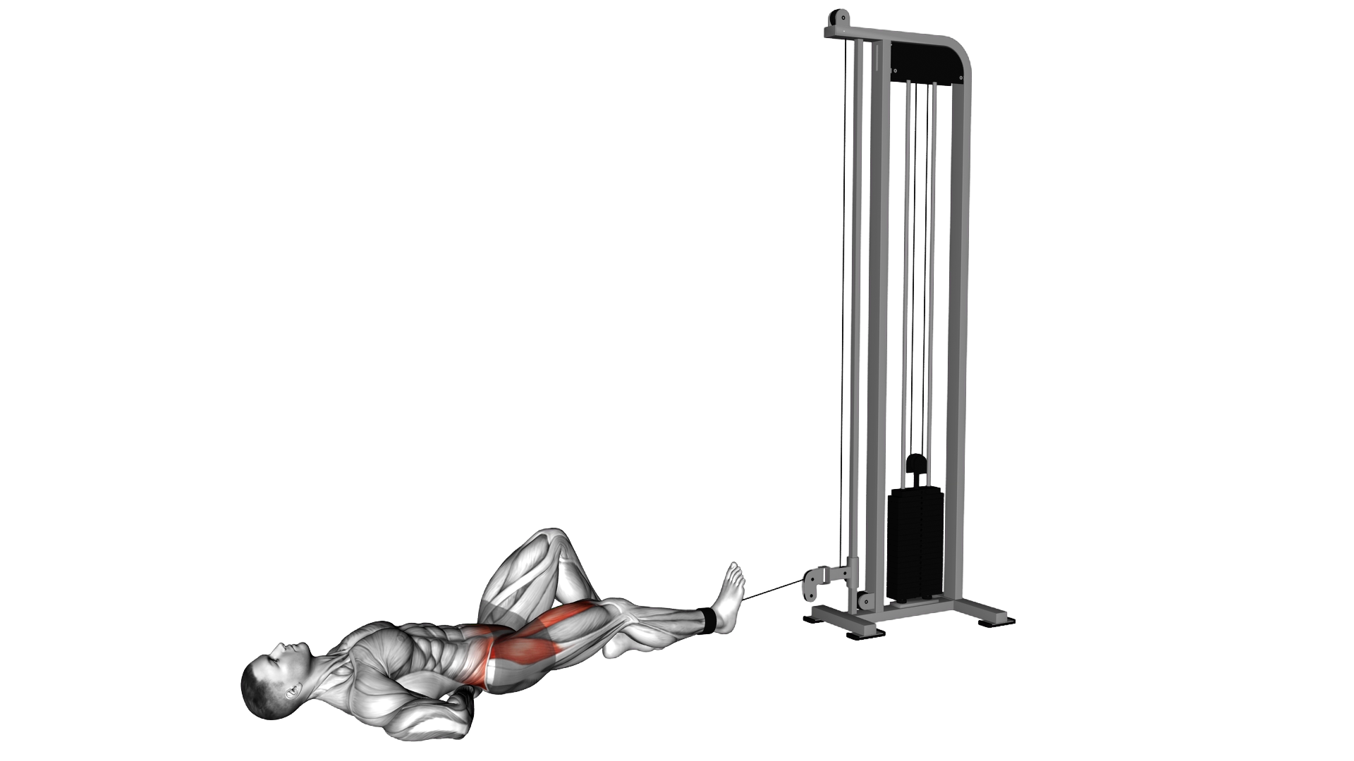 Cable Lying Single Leg Hip Flexion exercise demonstration