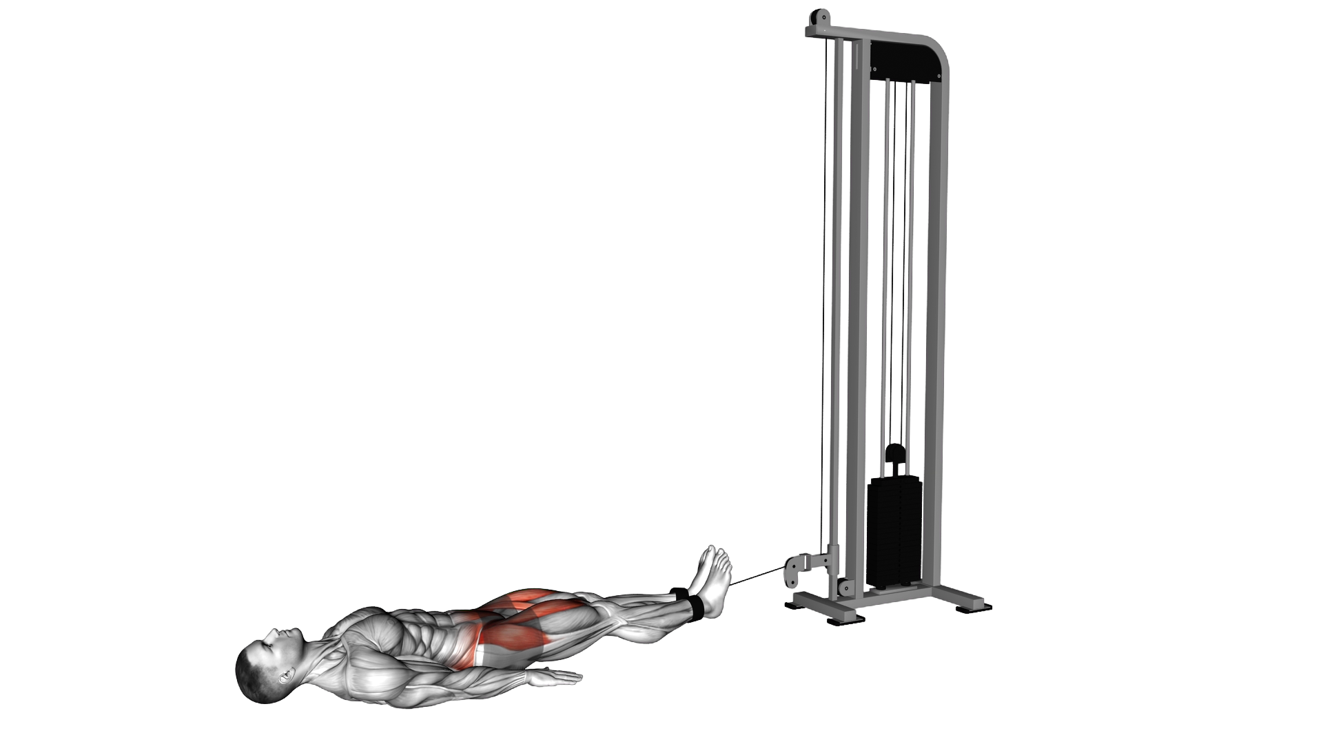 Cable Lying Hip Flexion (Reverse Squat) exercise demonstration