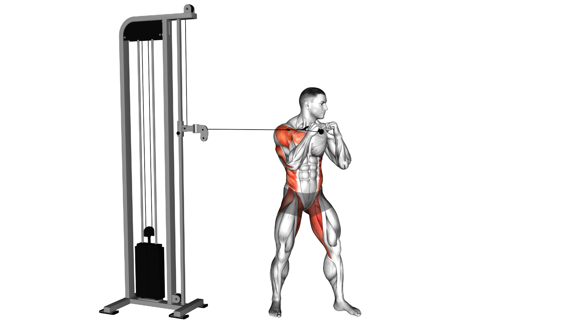 Cable Standing Jab exercise demonstration