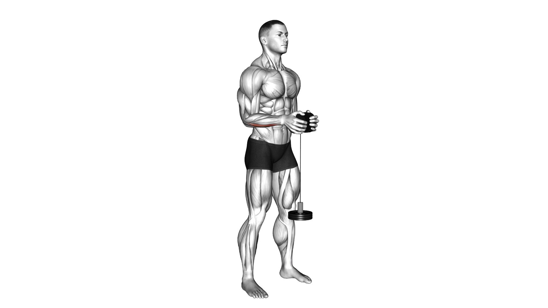 Neutral Wrist Roller exercise thumbnail