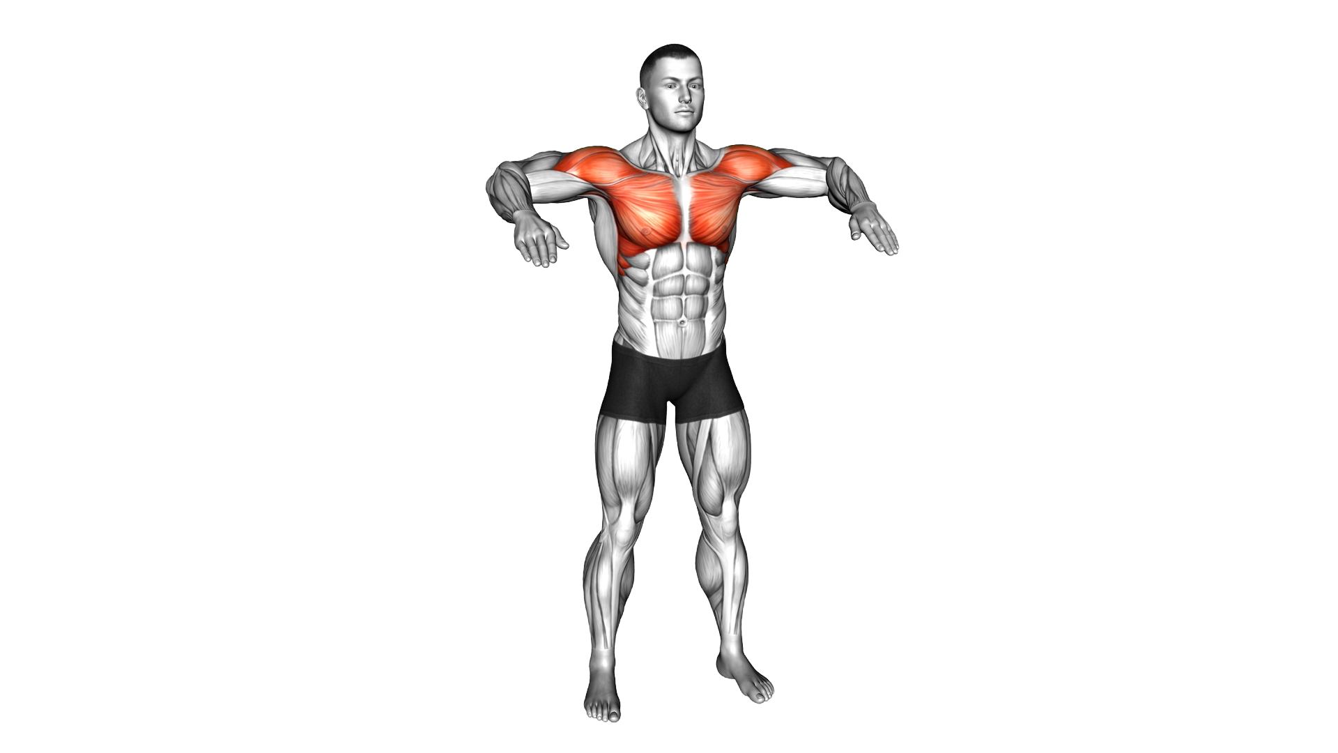 Arm Double Crossover exercise demonstration