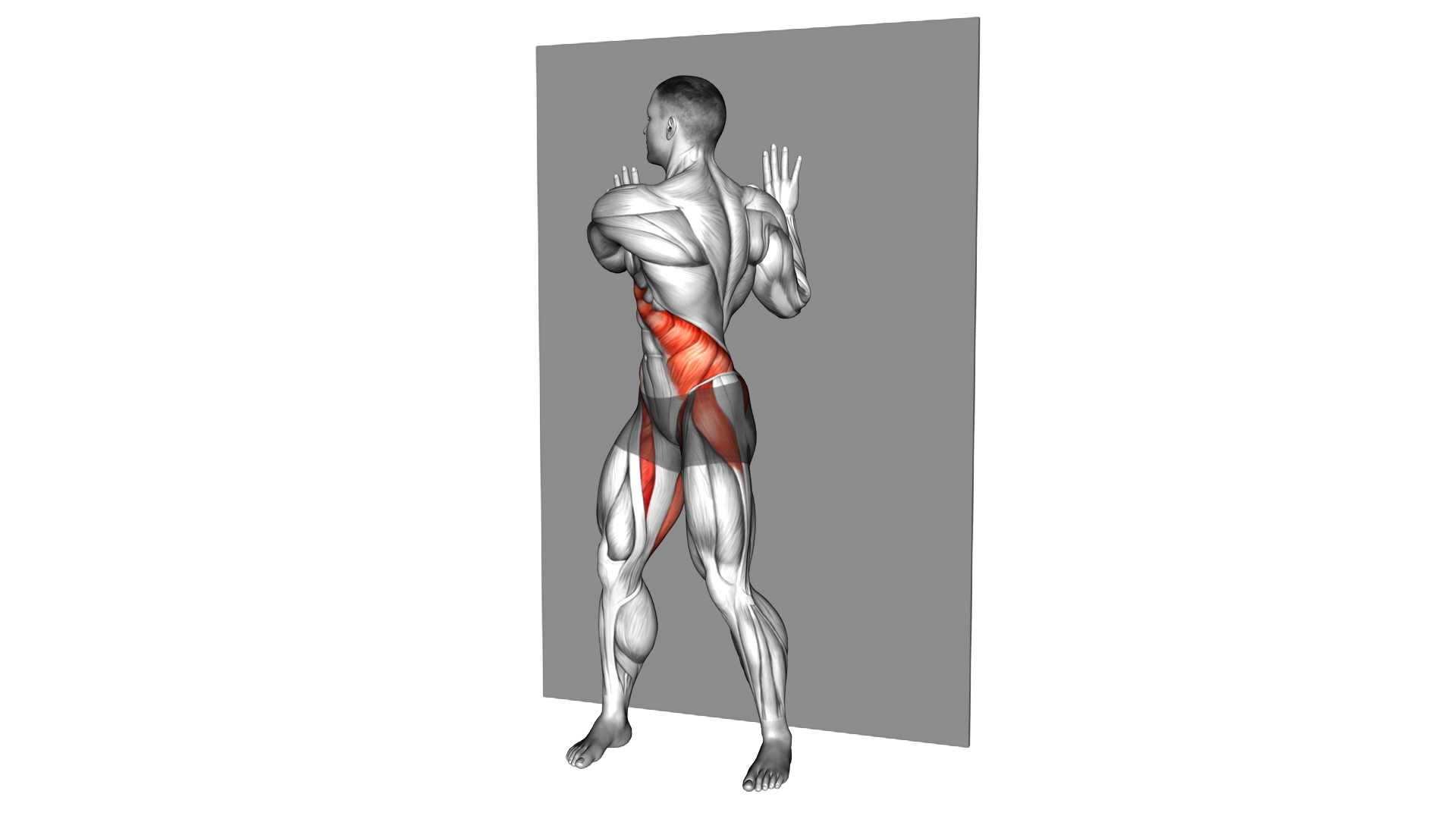 Standing Ab Twist Wall Touch exercise demonstration