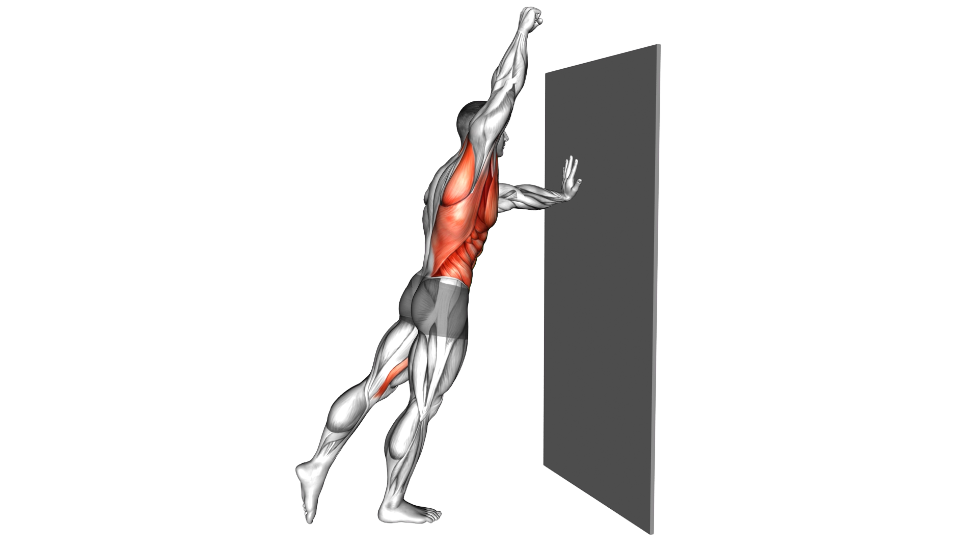 Standing Incline Bird Dog Crunch against Wall exercise demonstration