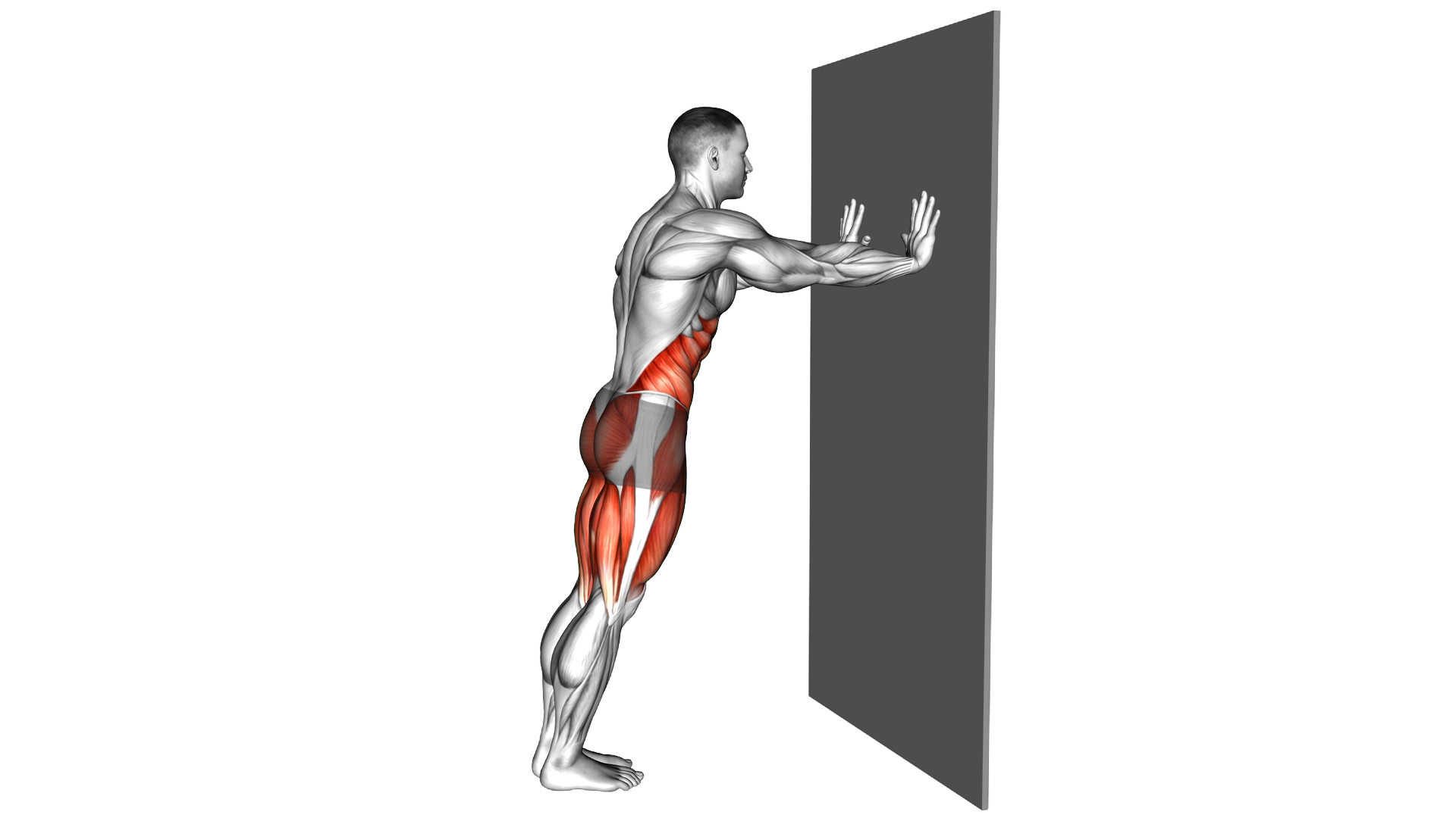 Cross Mountain Climber Kick against Wall exercise demonstration