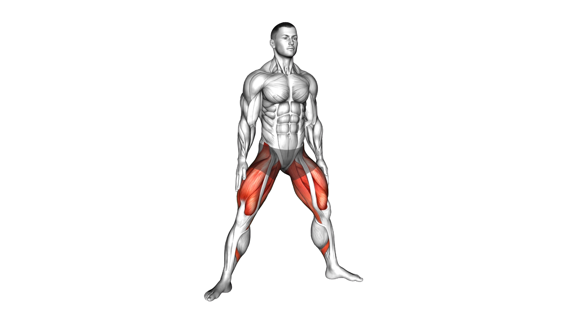 Quick Sumo Squat exercise demonstration