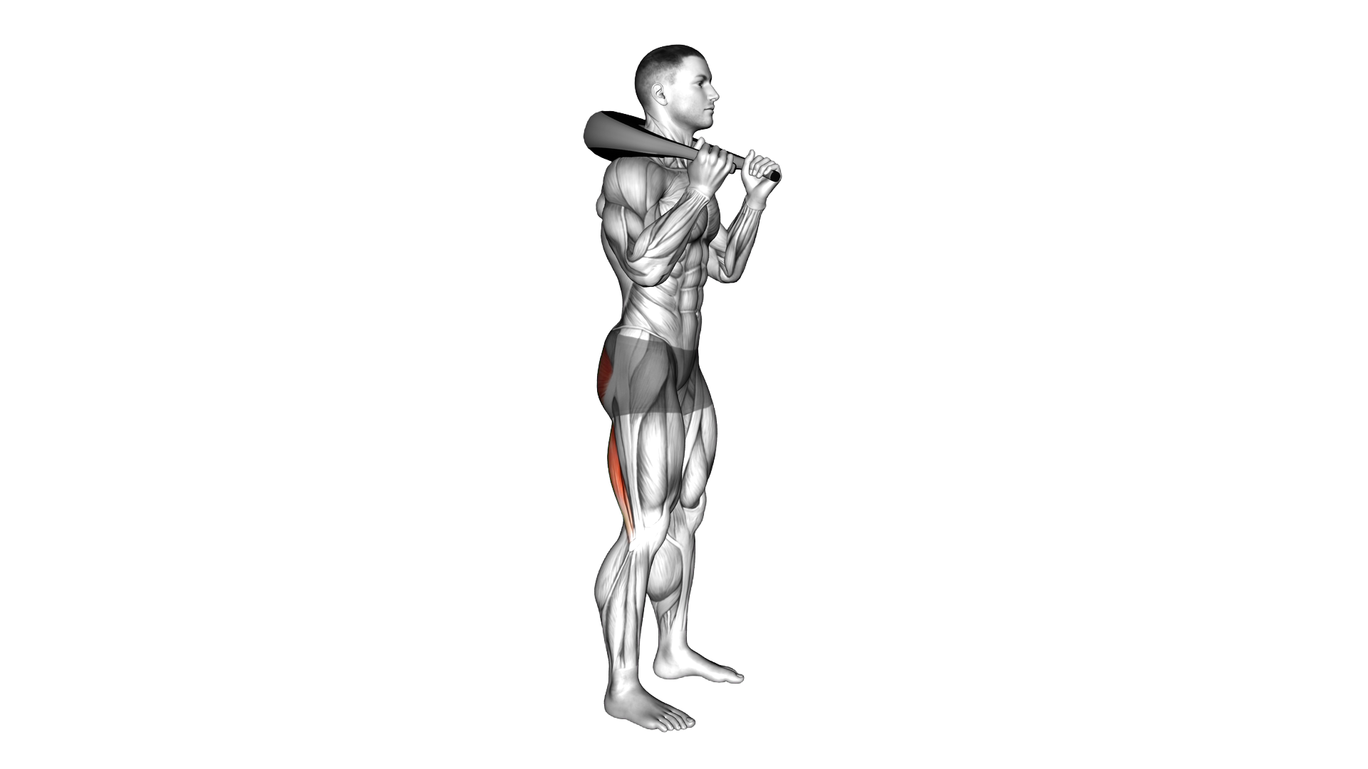 Weighted Bag Good Morning exercise demonstration