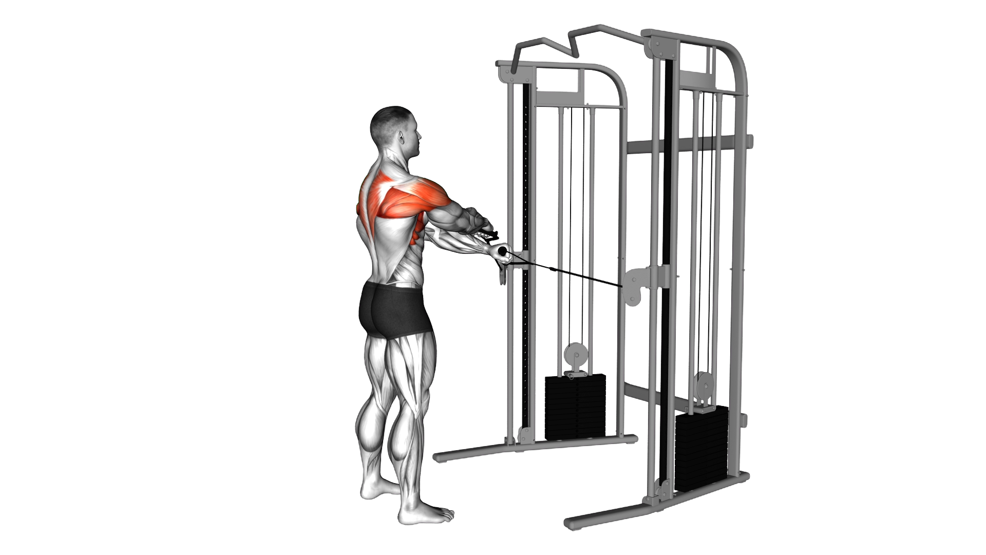 Cable Standing Y raise exercise demonstration