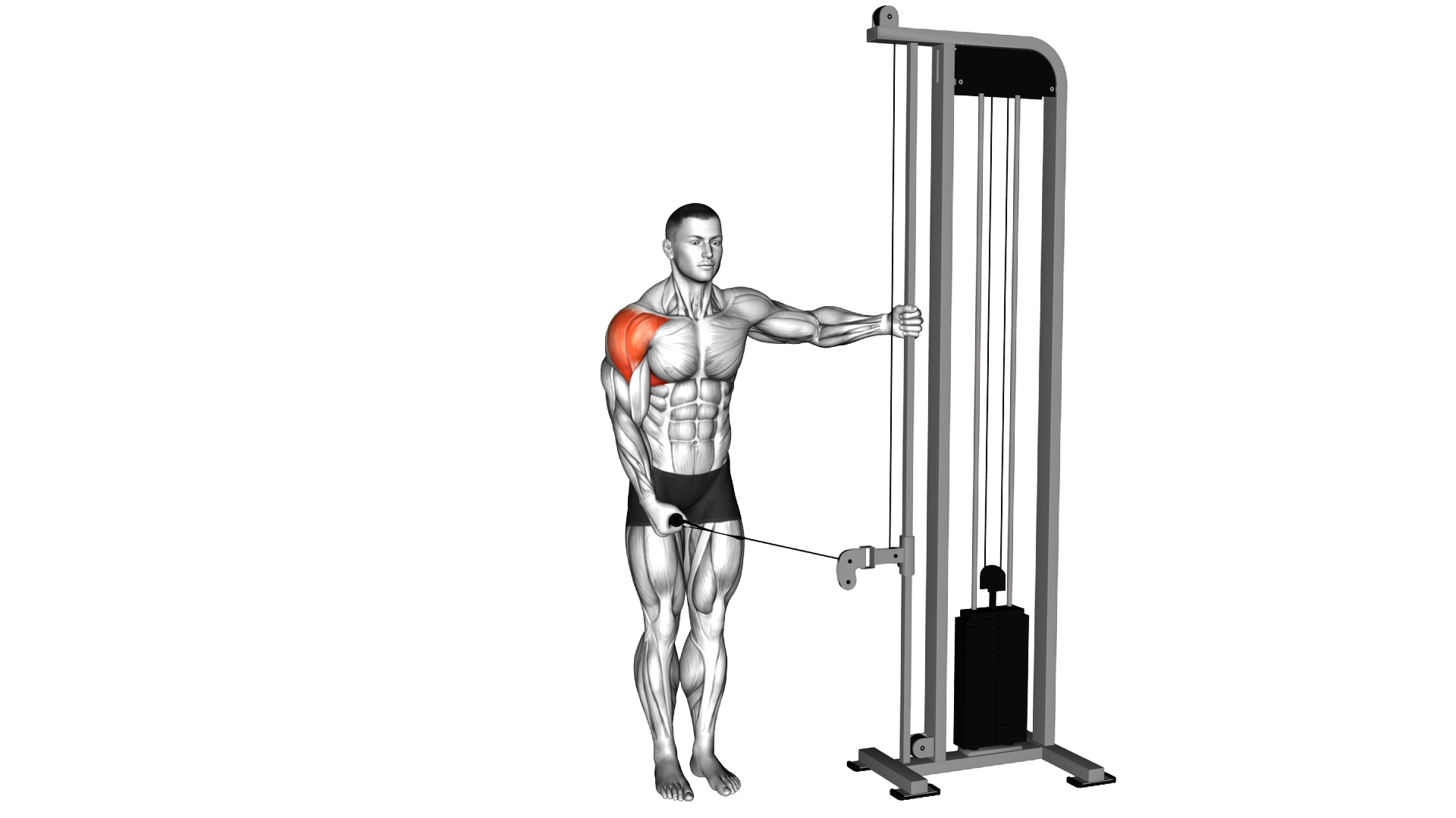 Cable Single Arm Lateral Raise exercise demonstration