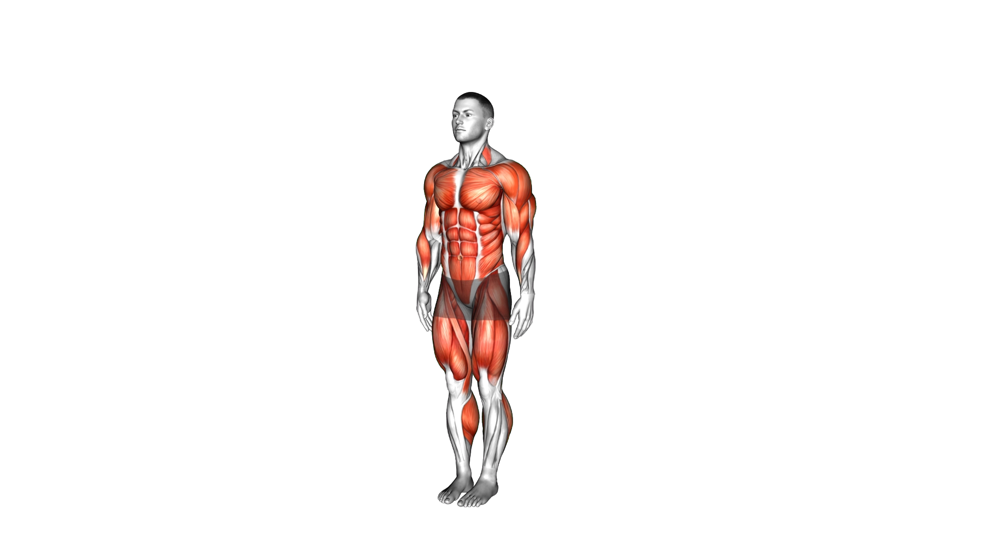 Burpee Side Tap Step Jack exercise demonstration