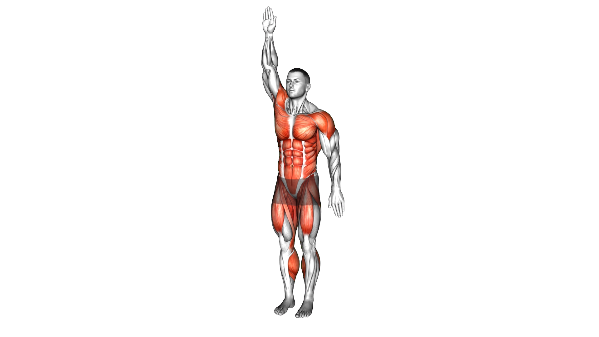 Alternate Leg Lift Tap Arms Circle exercise demonstration