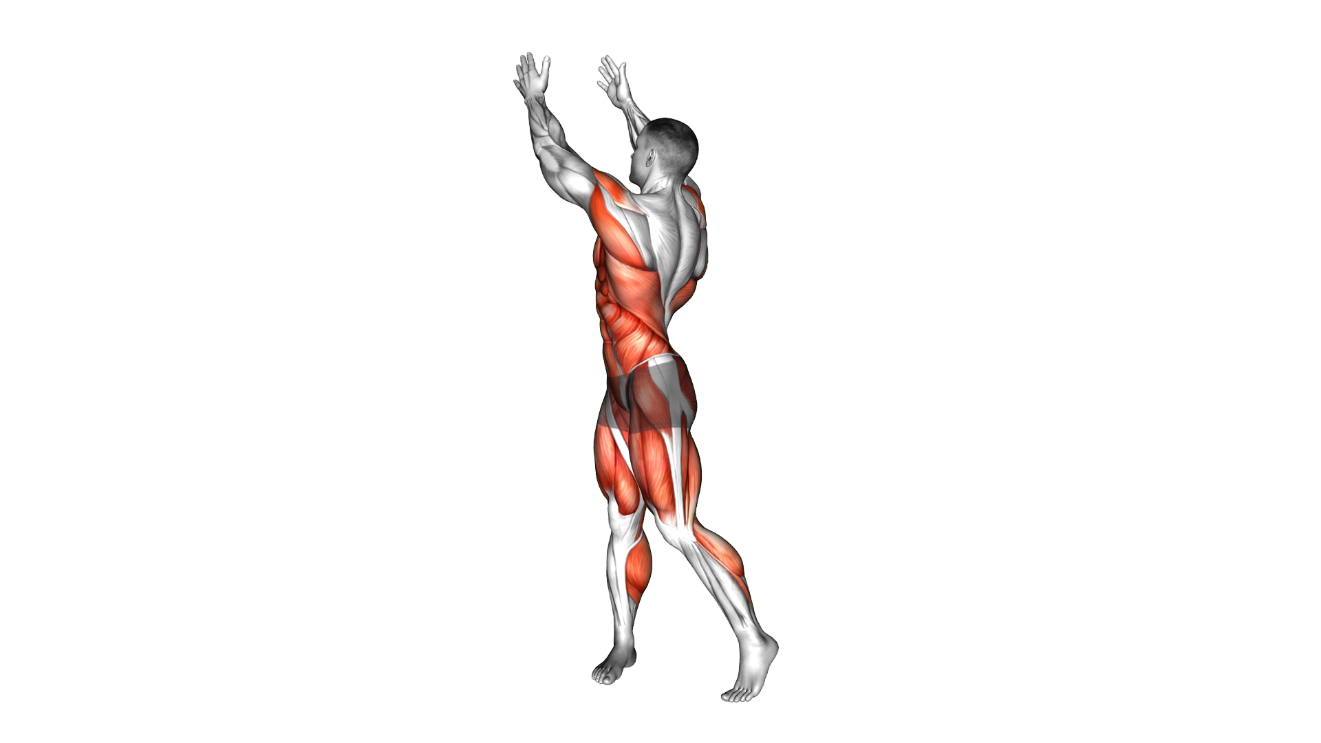Diagonal Pick and Carry (Woodchop) exercise demonstration