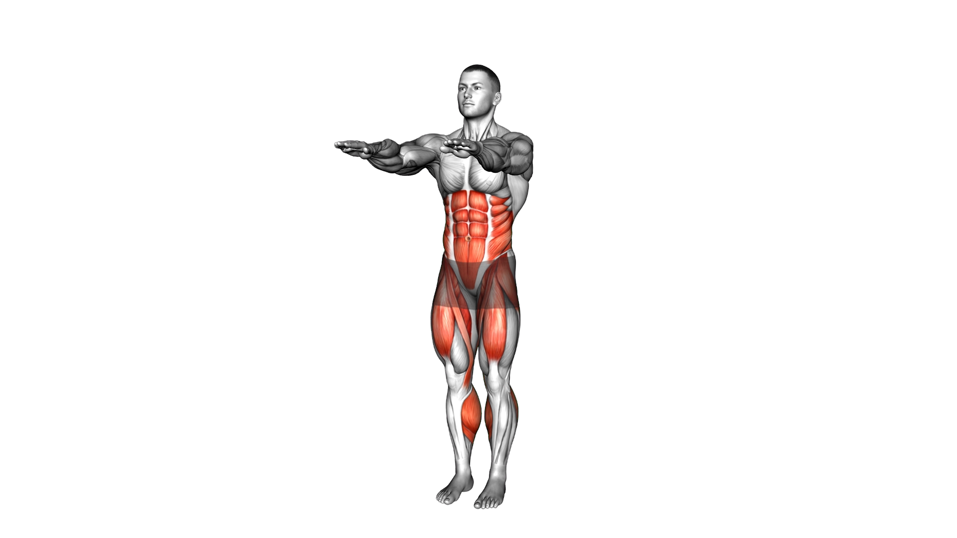 Alternate Leg Lift Twist exercise demonstration