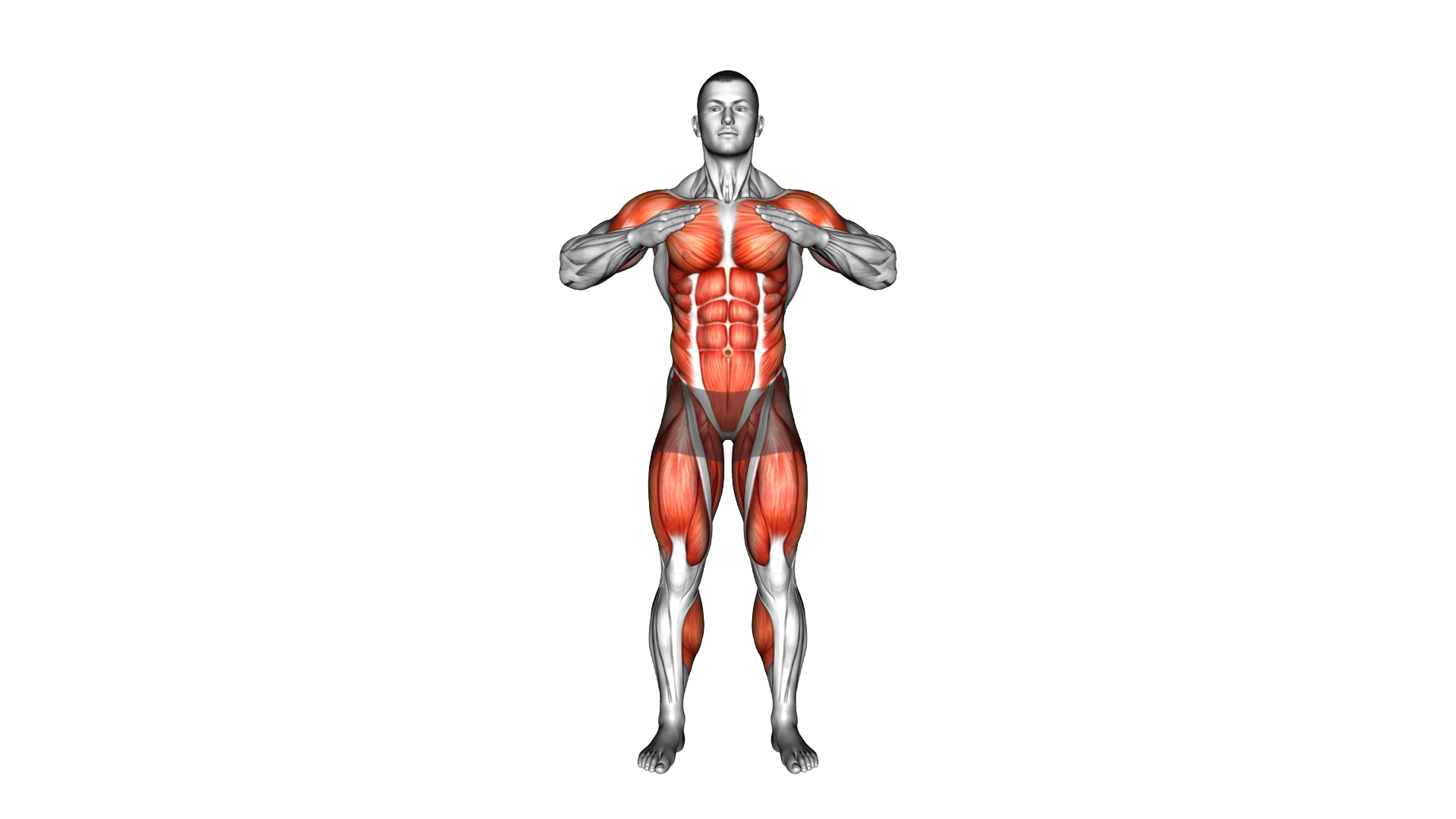 Alternate Knee Raise Side Reach exercise demonstration