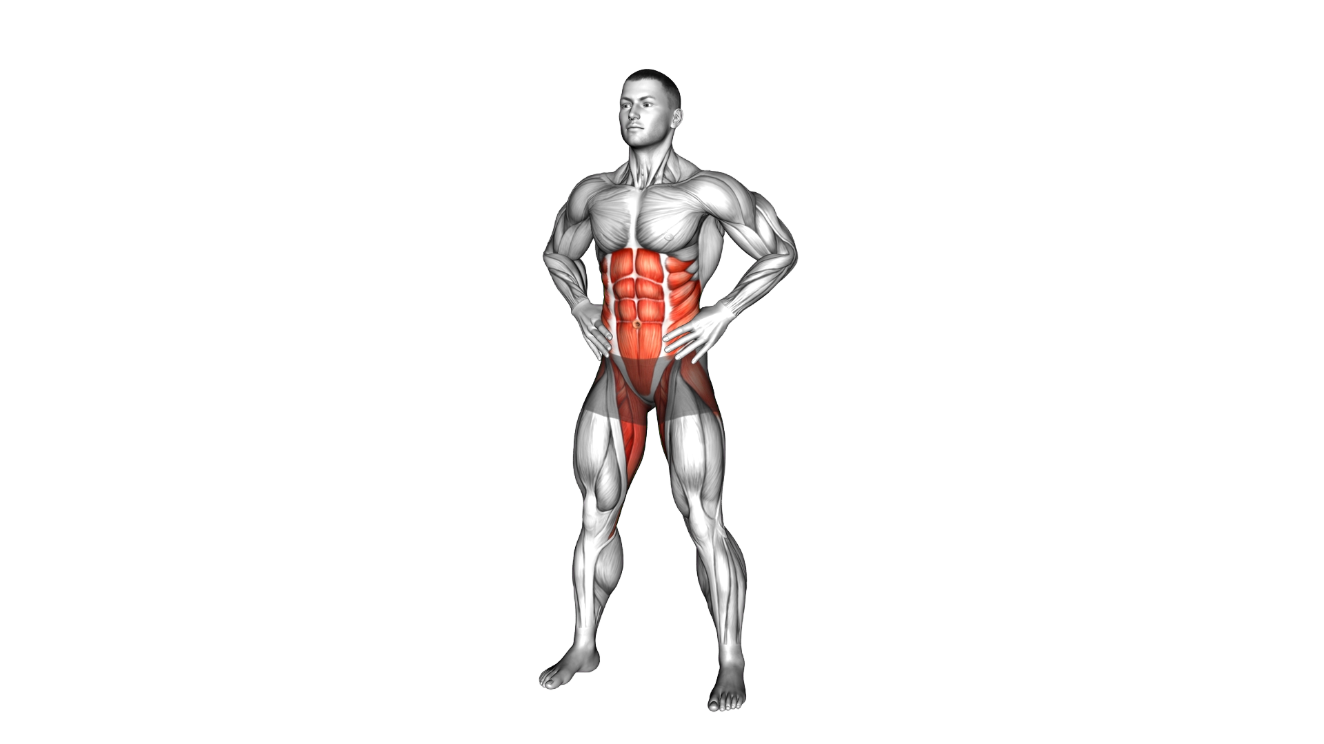 Alternate Obliques Pulse Twist Side Reach exercise demonstration