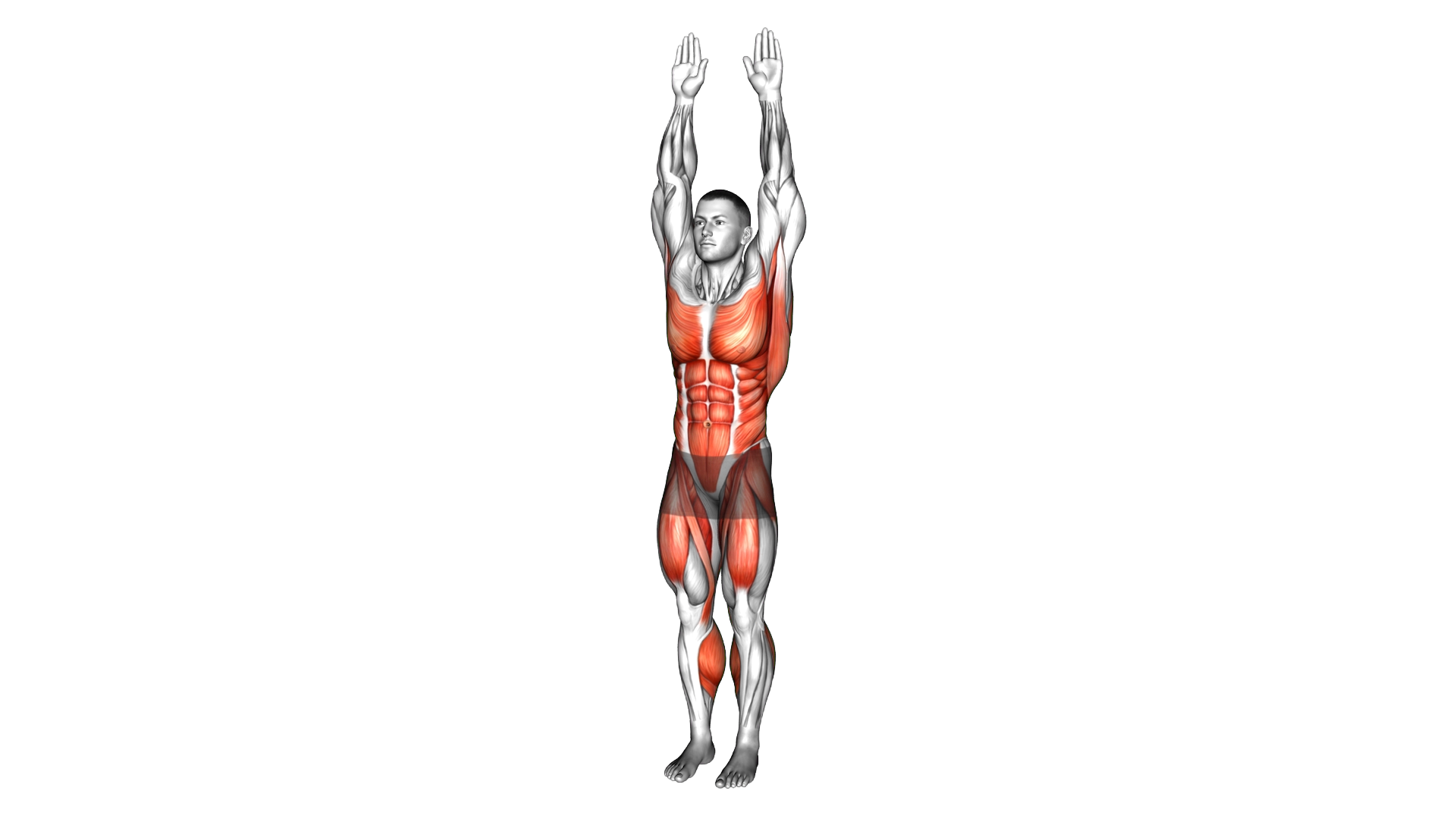Alternate Leg Lift Double Hands Crunch exercise thumbnail