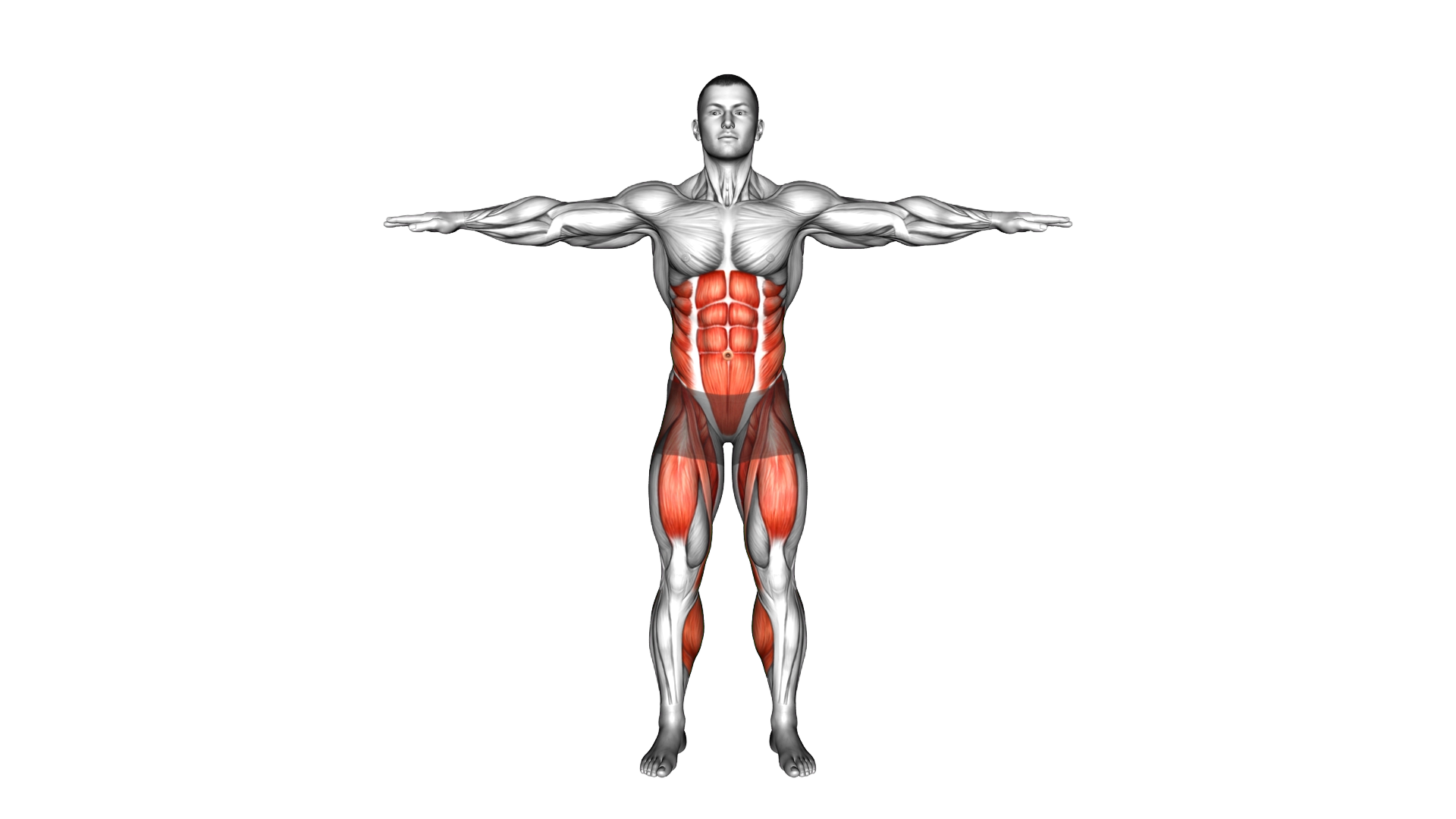 Standing Hand Out Cross Kick exercise demonstration