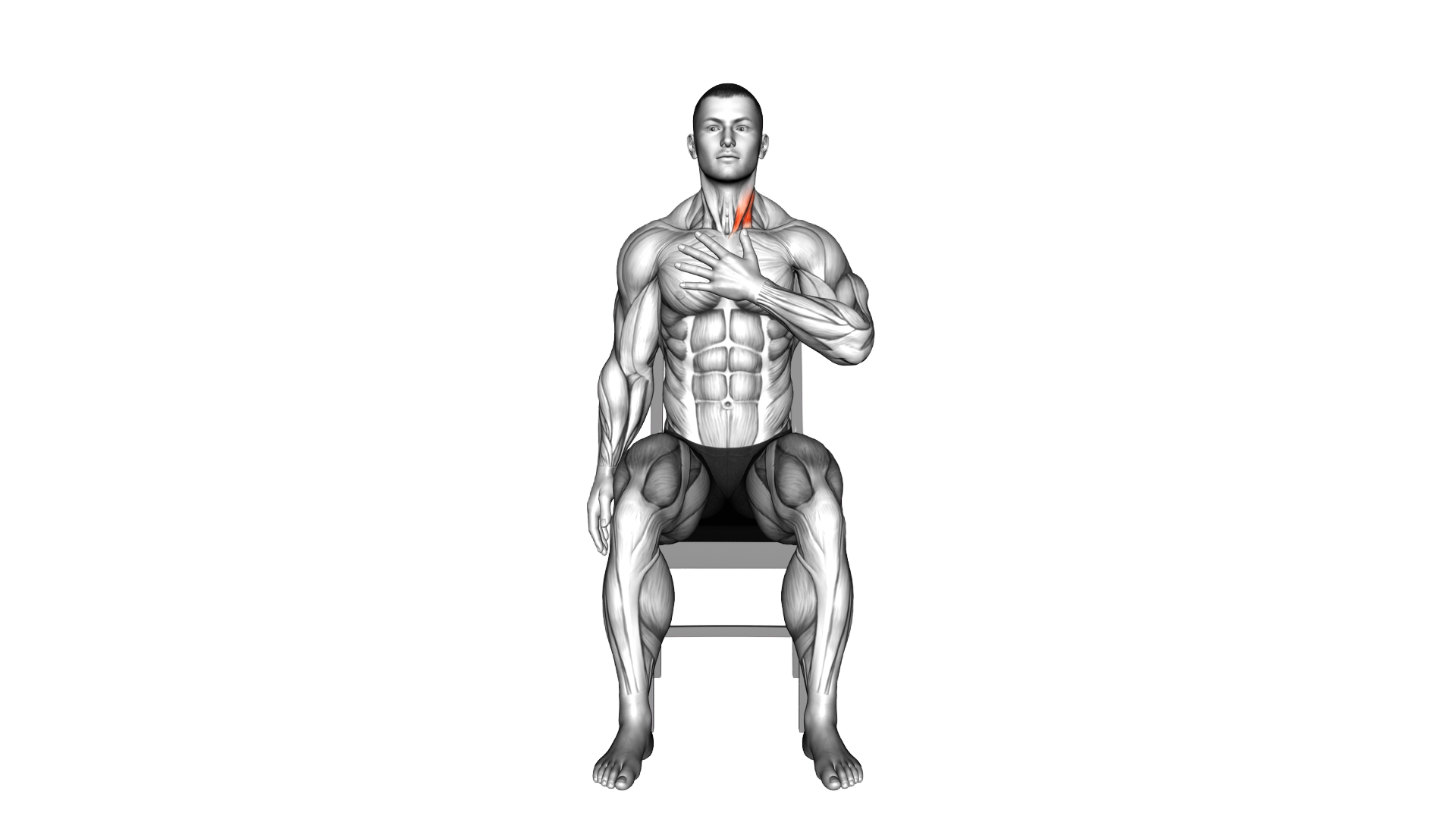 Seated Neck Backward Stretch exercise demonstration
