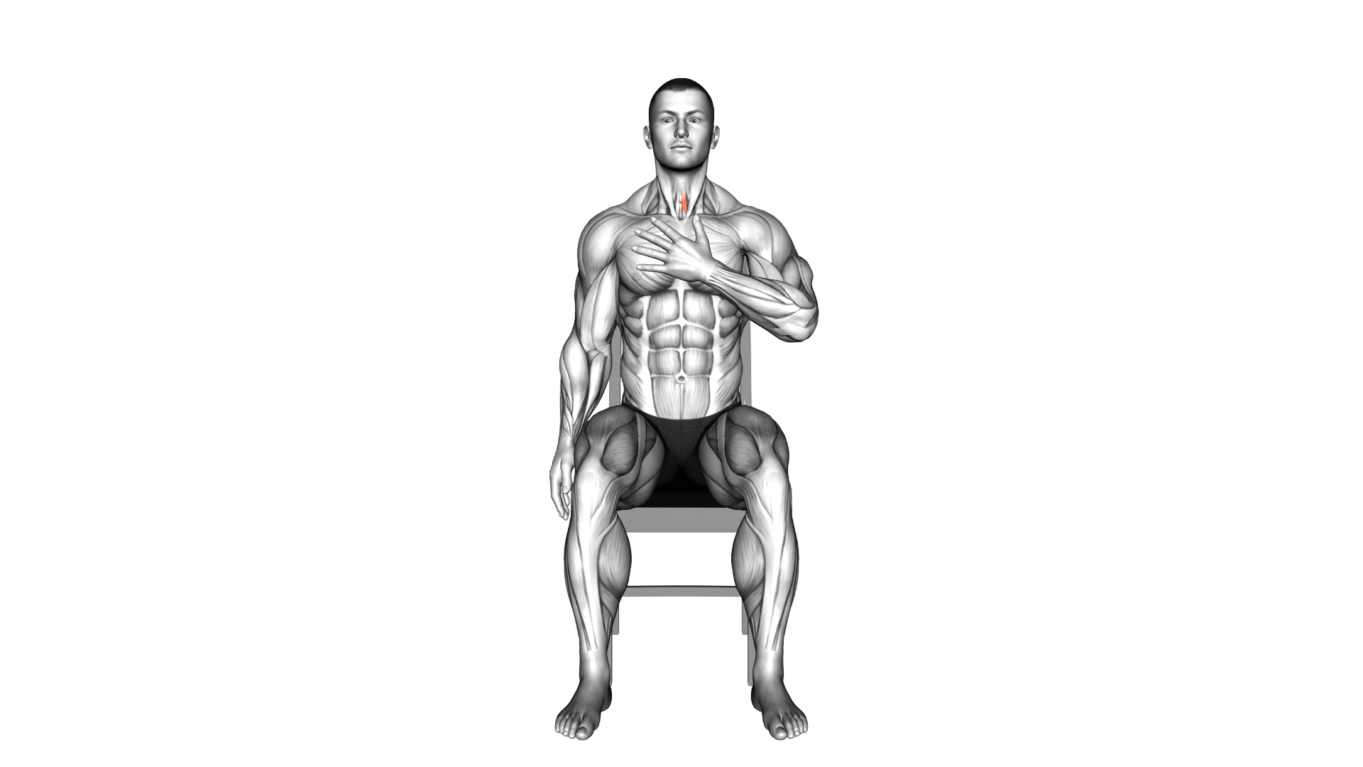 Seated Neck Side Upward Stretch exercise demonstration