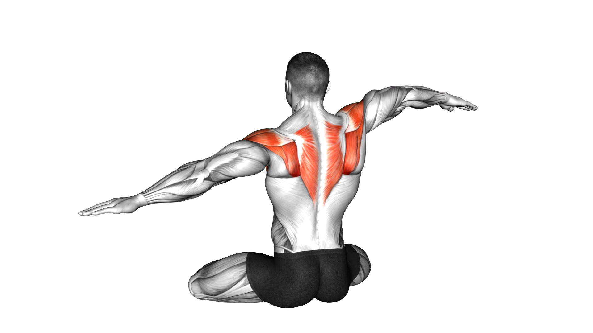 Seated Shoulder Waves exercise demonstration