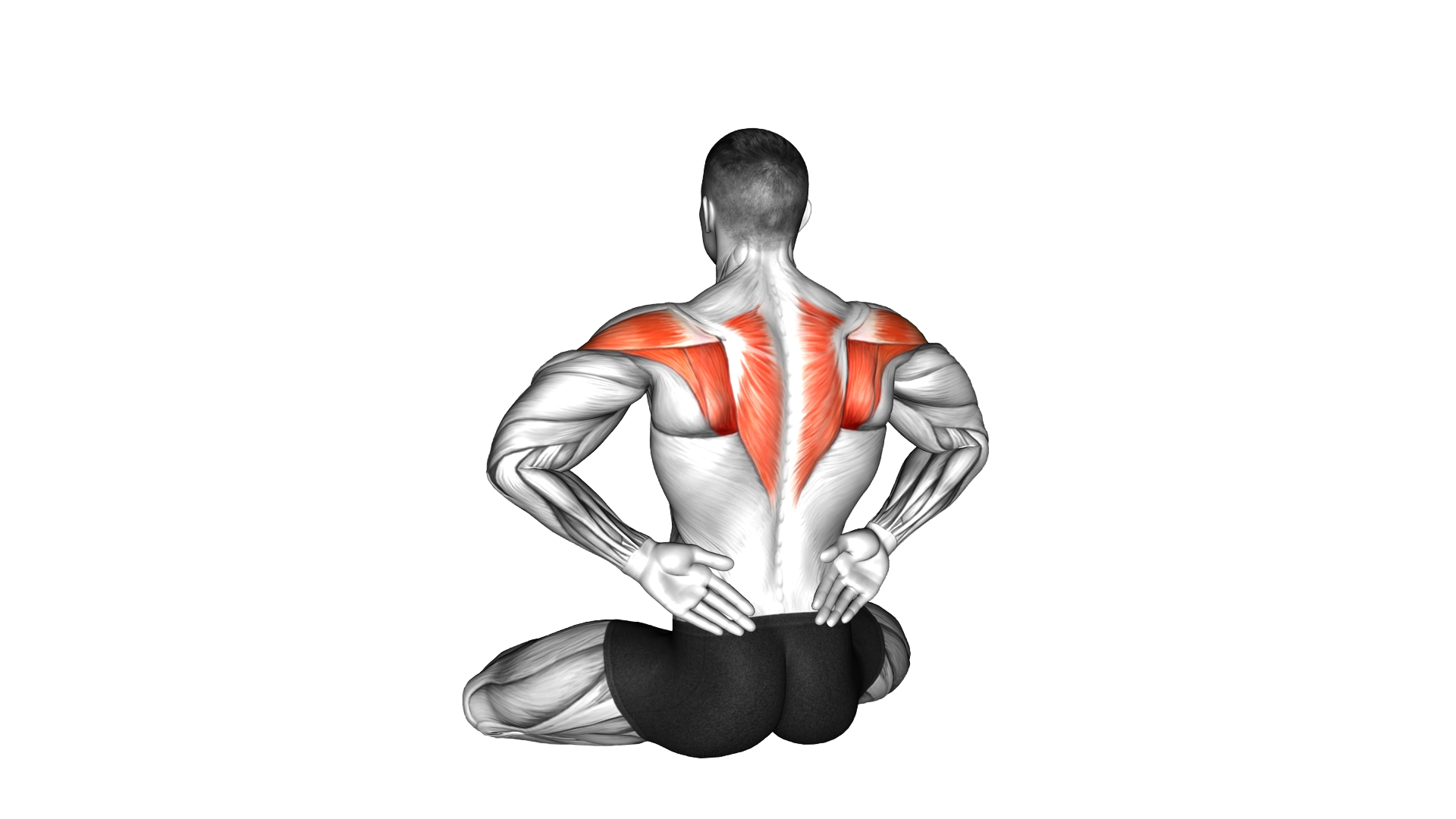 Seated Open Wings exercise demonstration