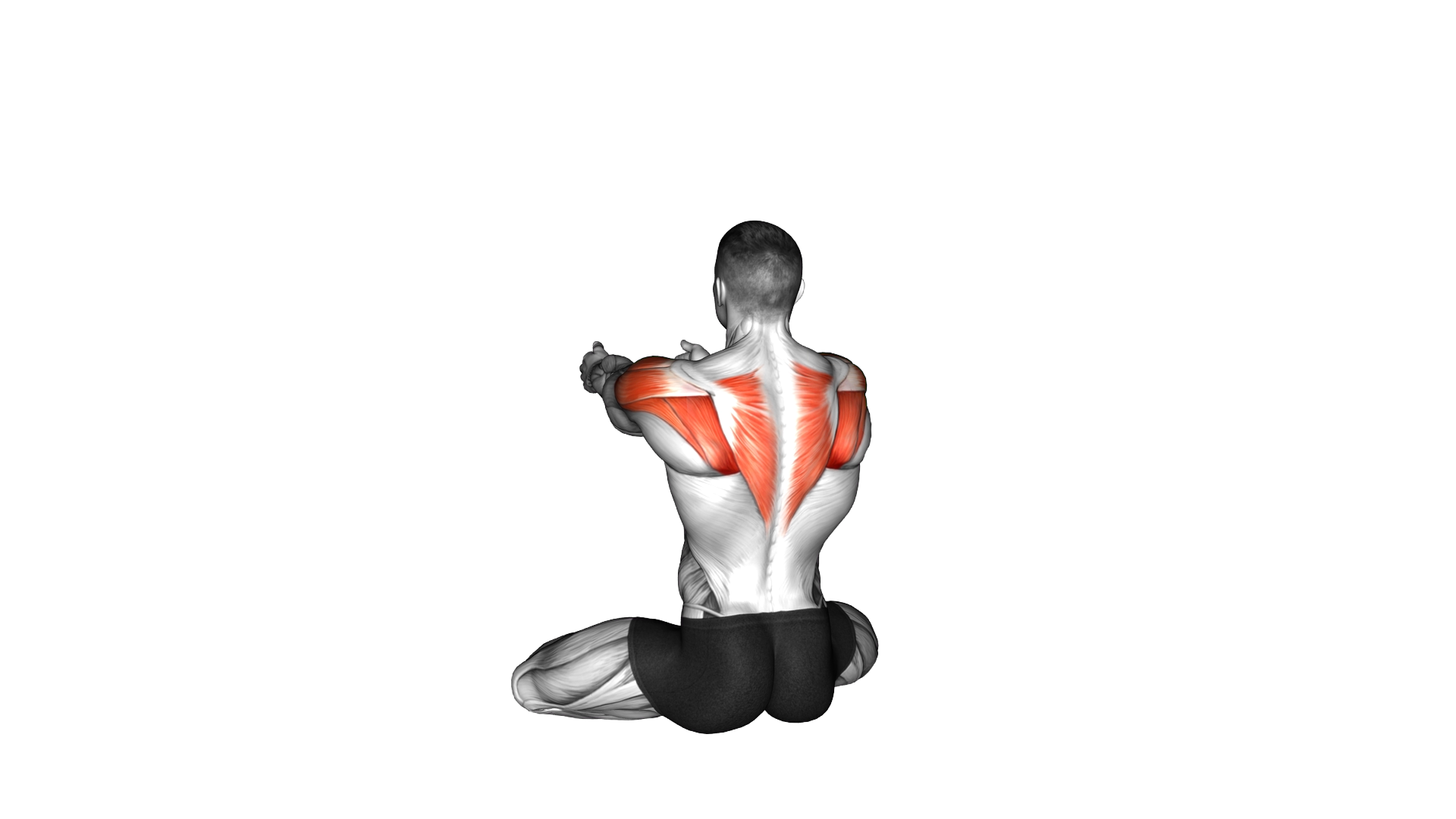 Seated Alternate Arms Archer Back Rotation exercise demonstration