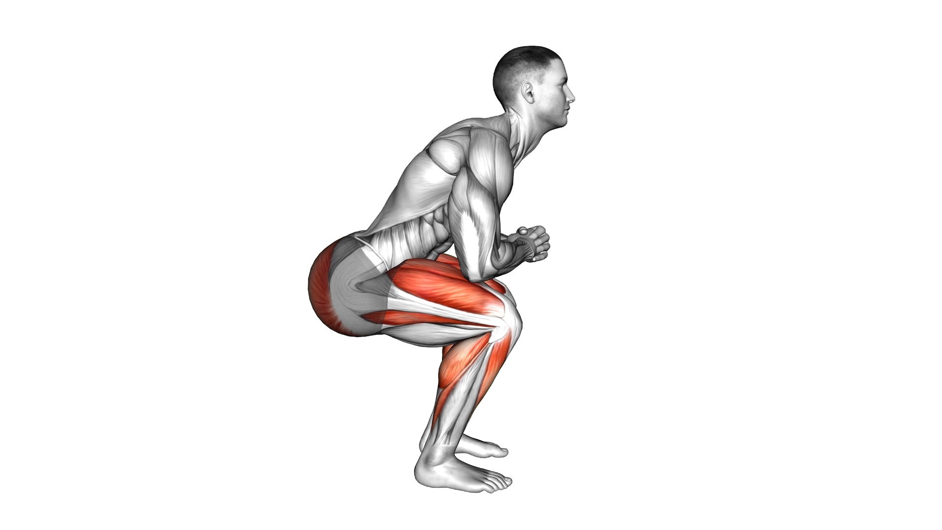 Chair Squat Calf Rock exercise demonstration