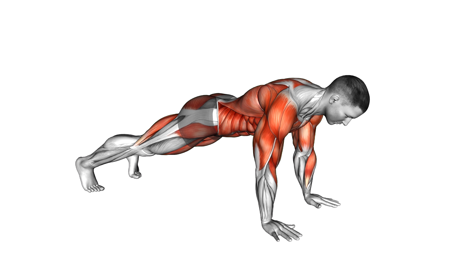 Plank Row exercise demonstration