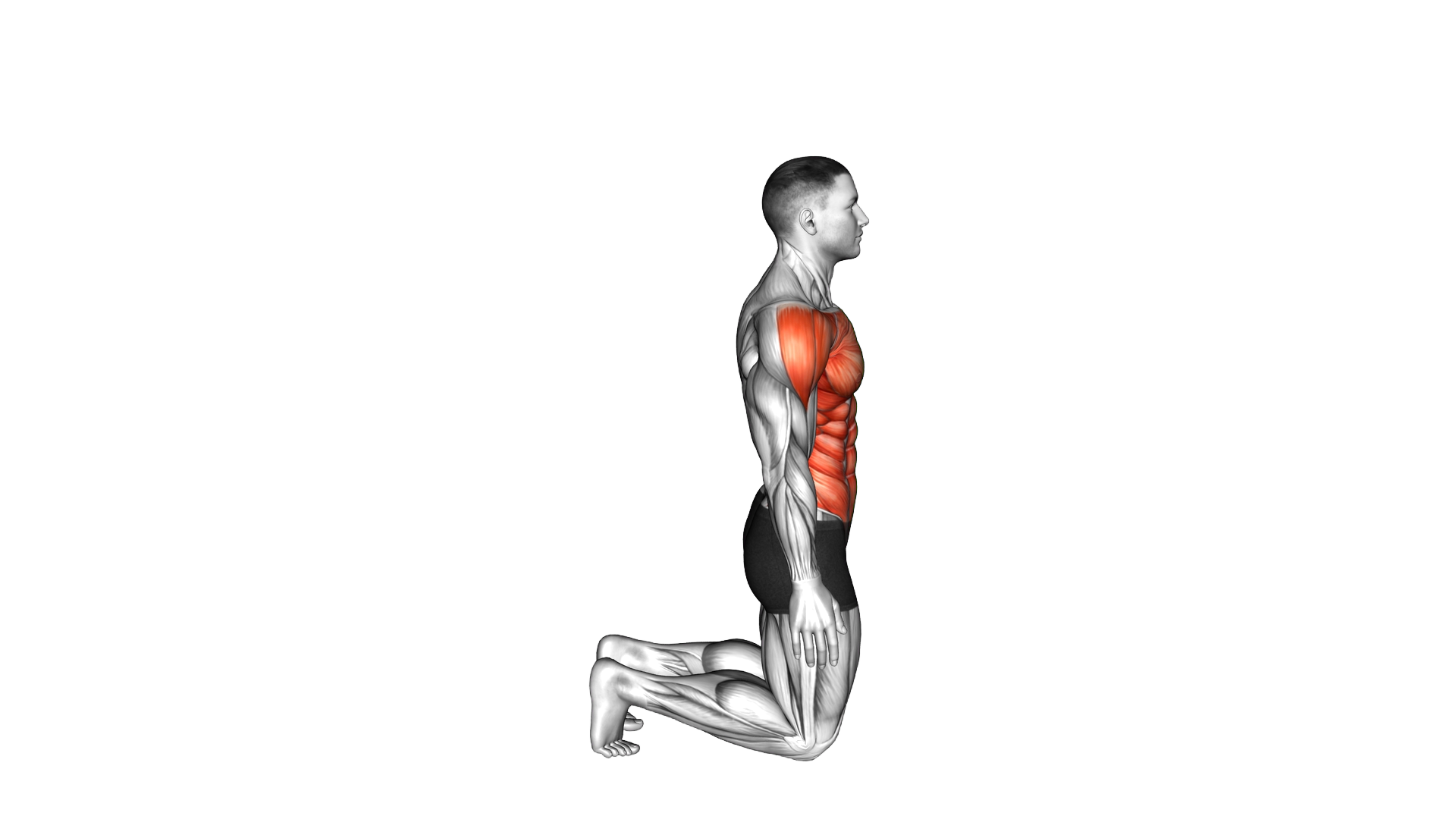 Side Camel exercise demonstration