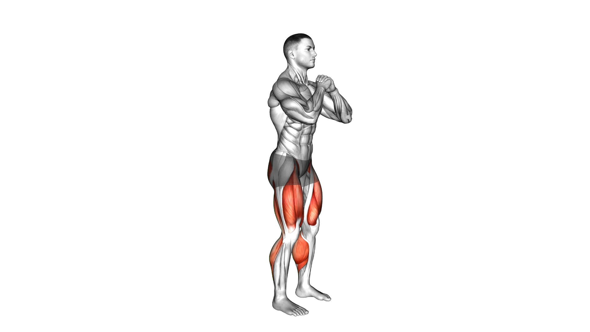 Chair Squat to Toe Stand exercise demonstration