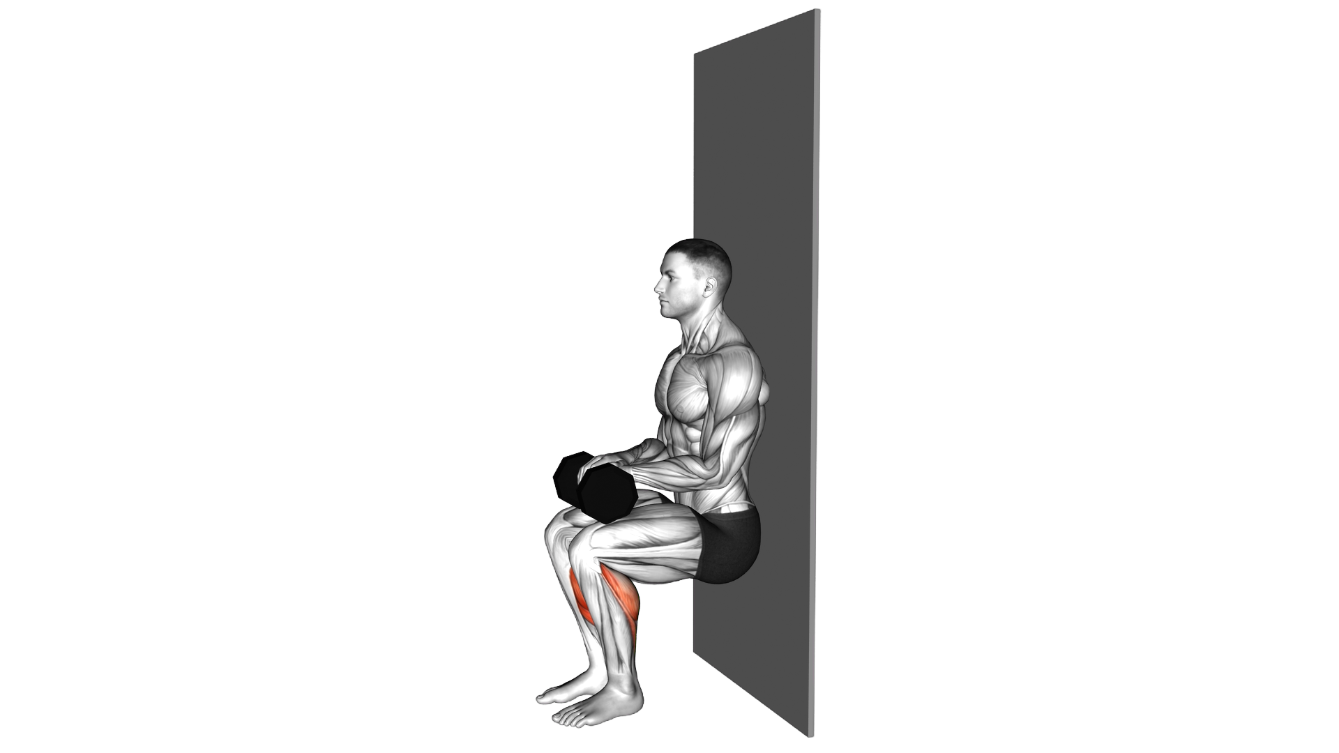 Chair Sit Alternate Heel Raise agains Wall exercise demonstration