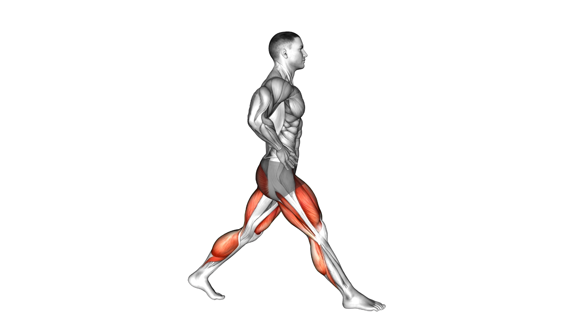 Split Squat Heel Raise exercise demonstration