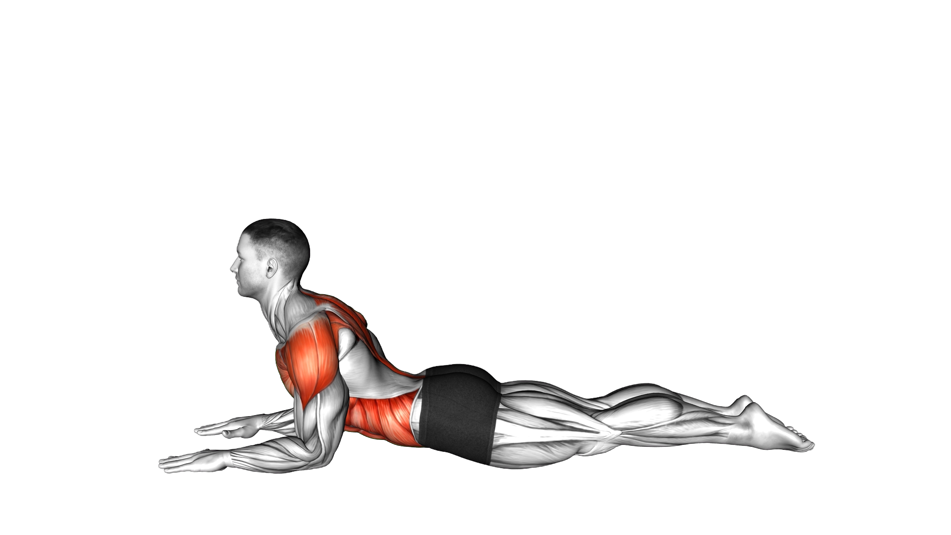 Sphinx Pose Twist exercise demonstration