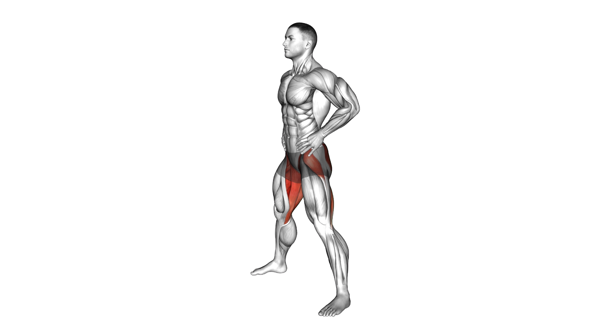Standing Wide Good Morning exercise demonstration