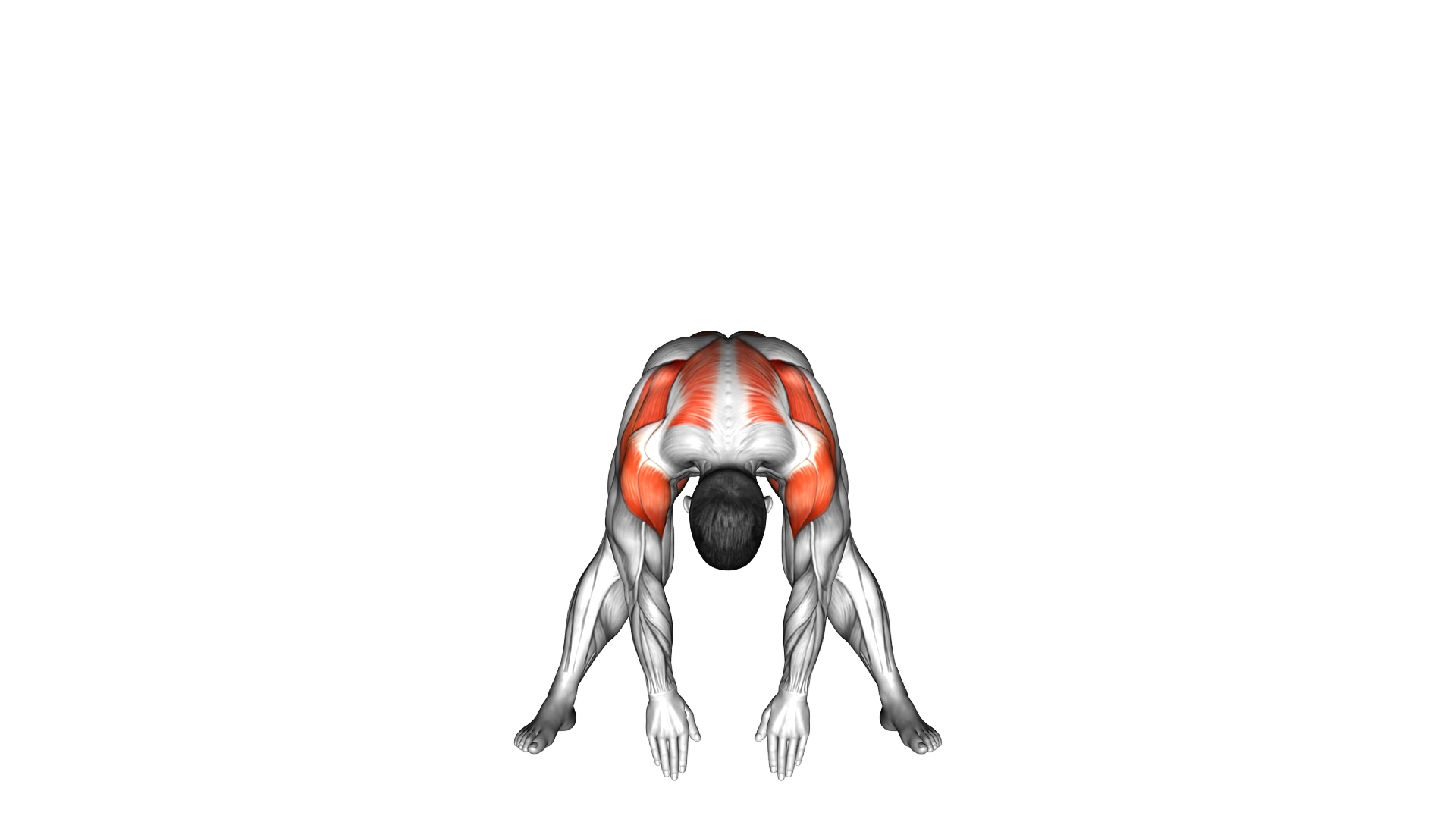 Wide Forward Fold Twist exercise demonstration