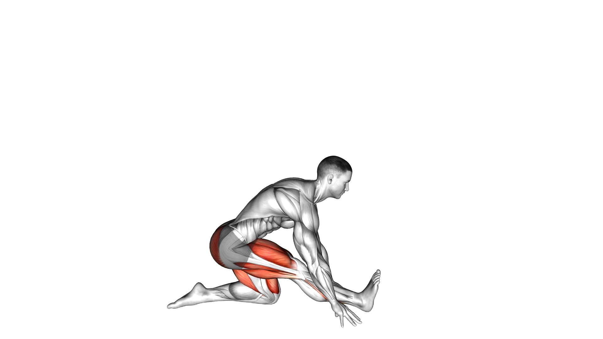 Low Lunge to Hamstring Stretch exercise demonstration