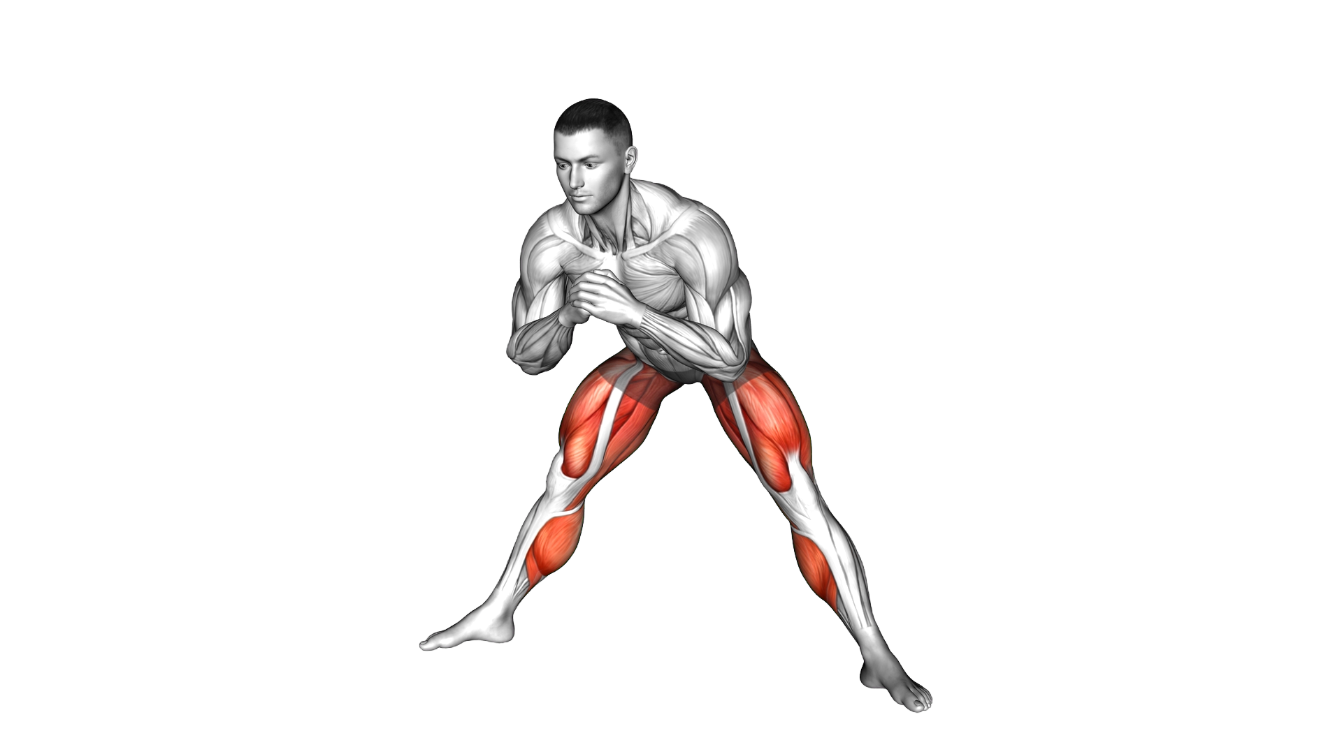 Side Lunge Stretch exercise demonstration