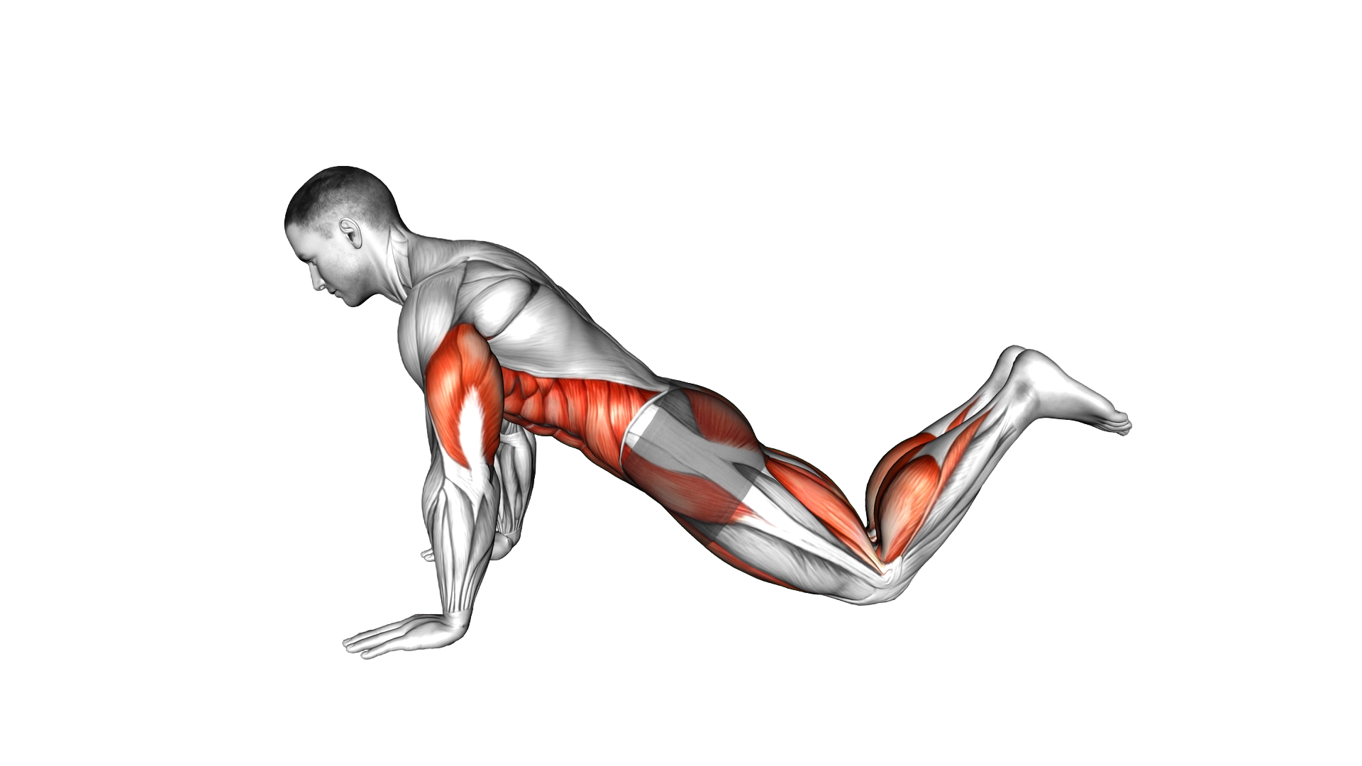 Kneeling Push Up to Hovering Table Top exercise demonstration