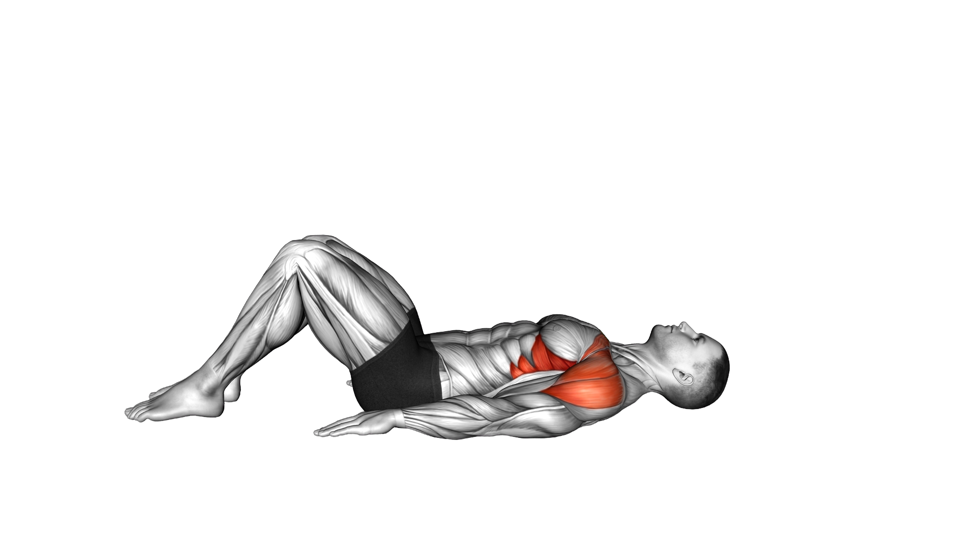 Lying Front Raise exercise demonstration