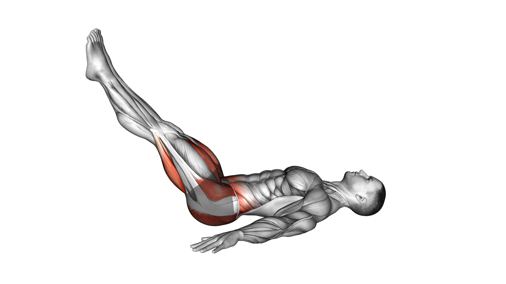 Lying Frog Crunch Feet Together exercise demonstration