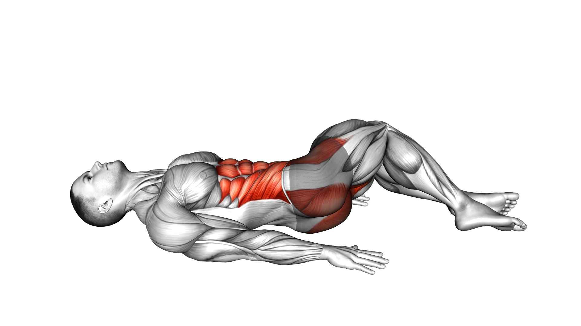 Lying Hip Internal Rotation exercise demonstration