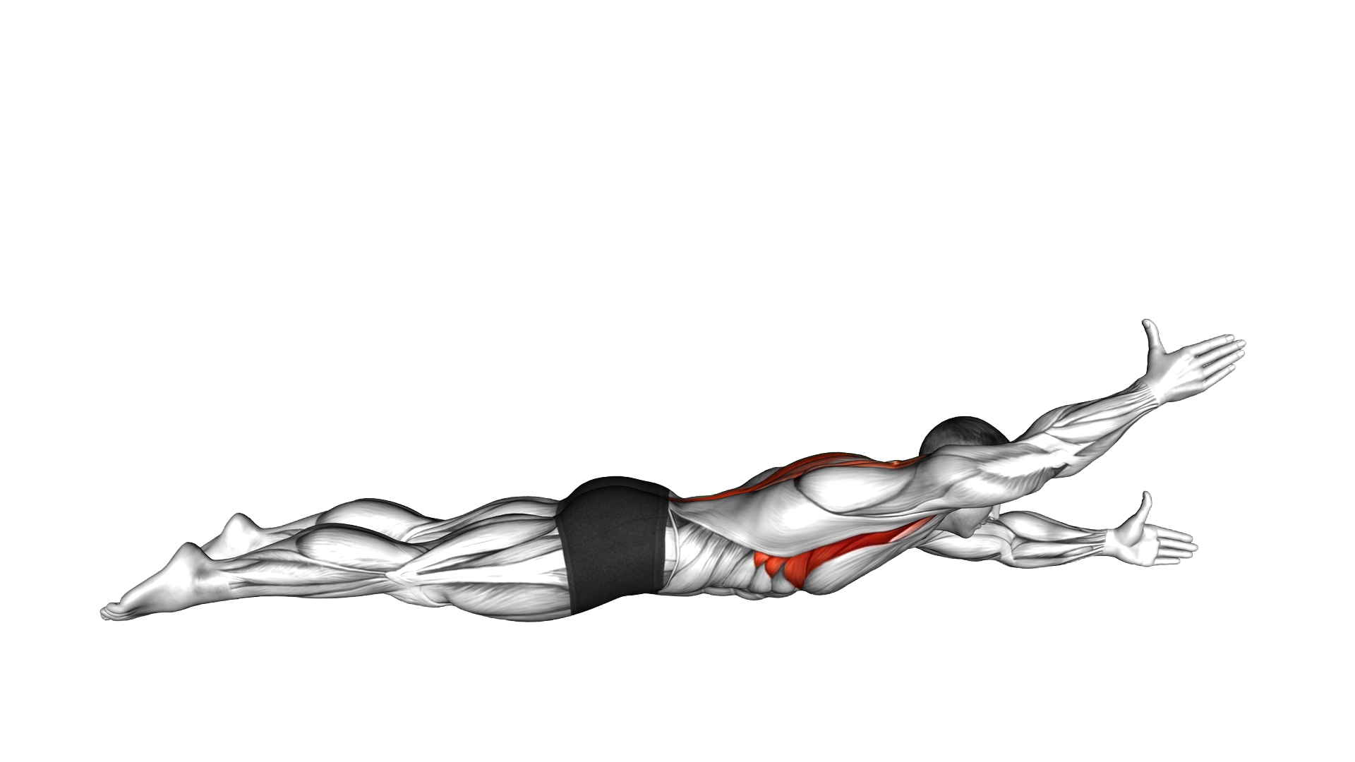 Lying Alternate Back Raise exercise demonstration