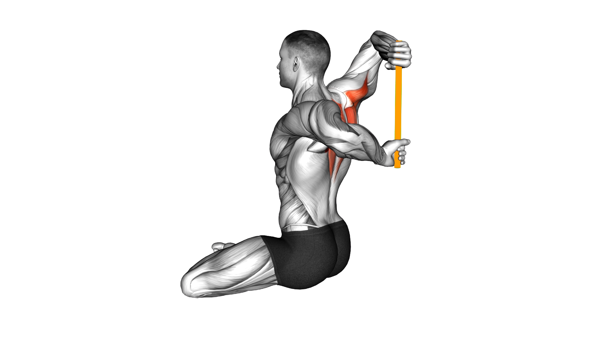 Resistance Band Seated Shoulder Stretch Behind the exercise demonstration