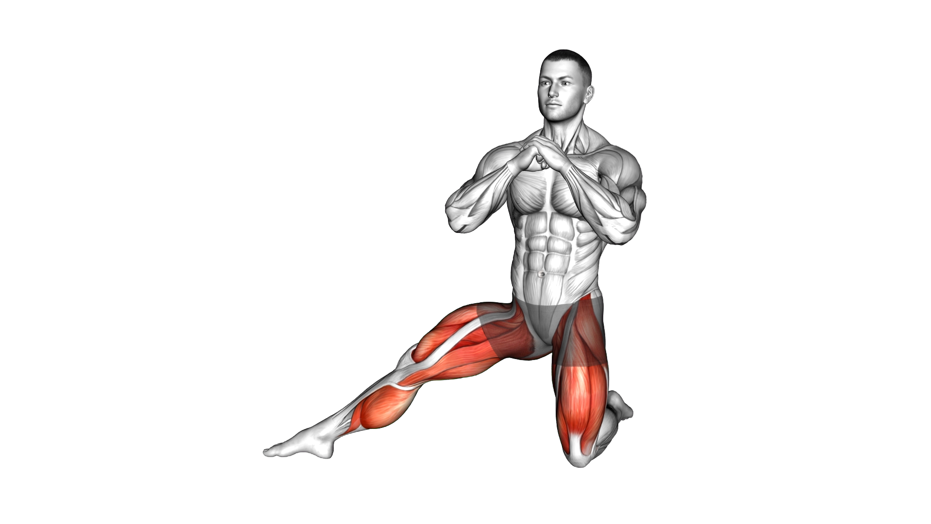 Half Kneeling Side Lunge exercise demonstration