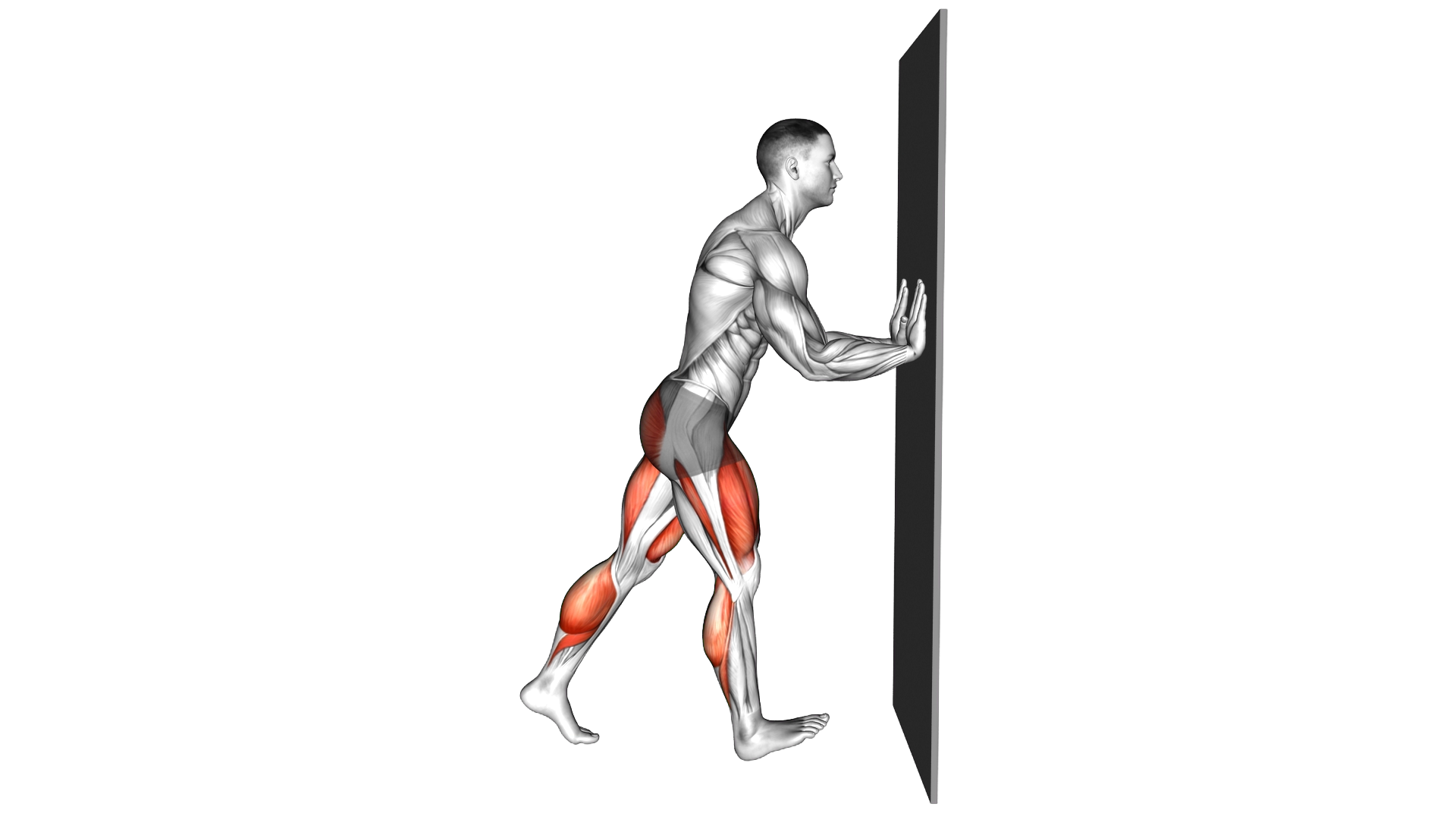 Narrow Lunge with Wall Supported exercise demonstration