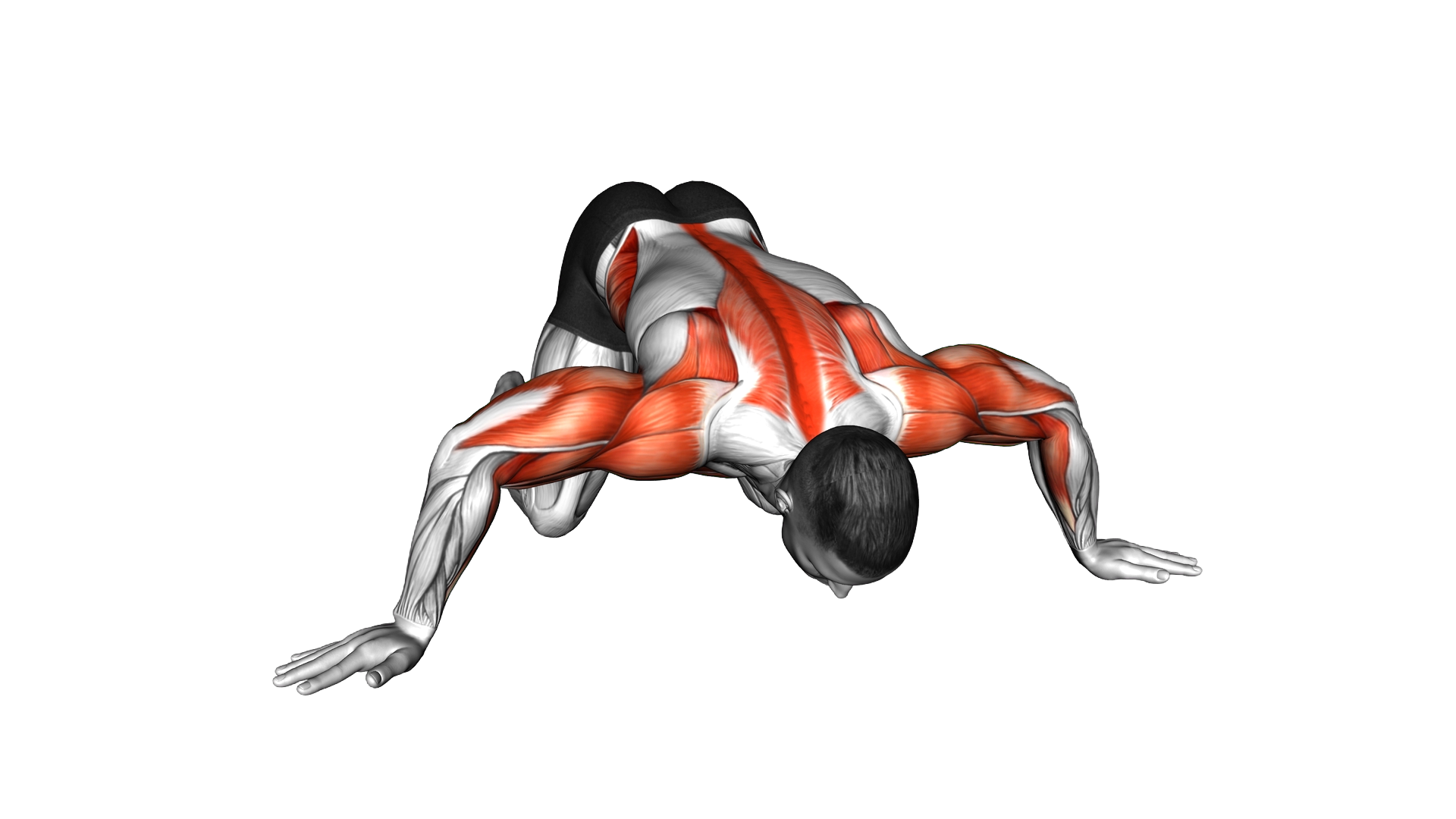 Kneeling Torso Rotation Chest and Shoulder Stretch exercise demonstration
