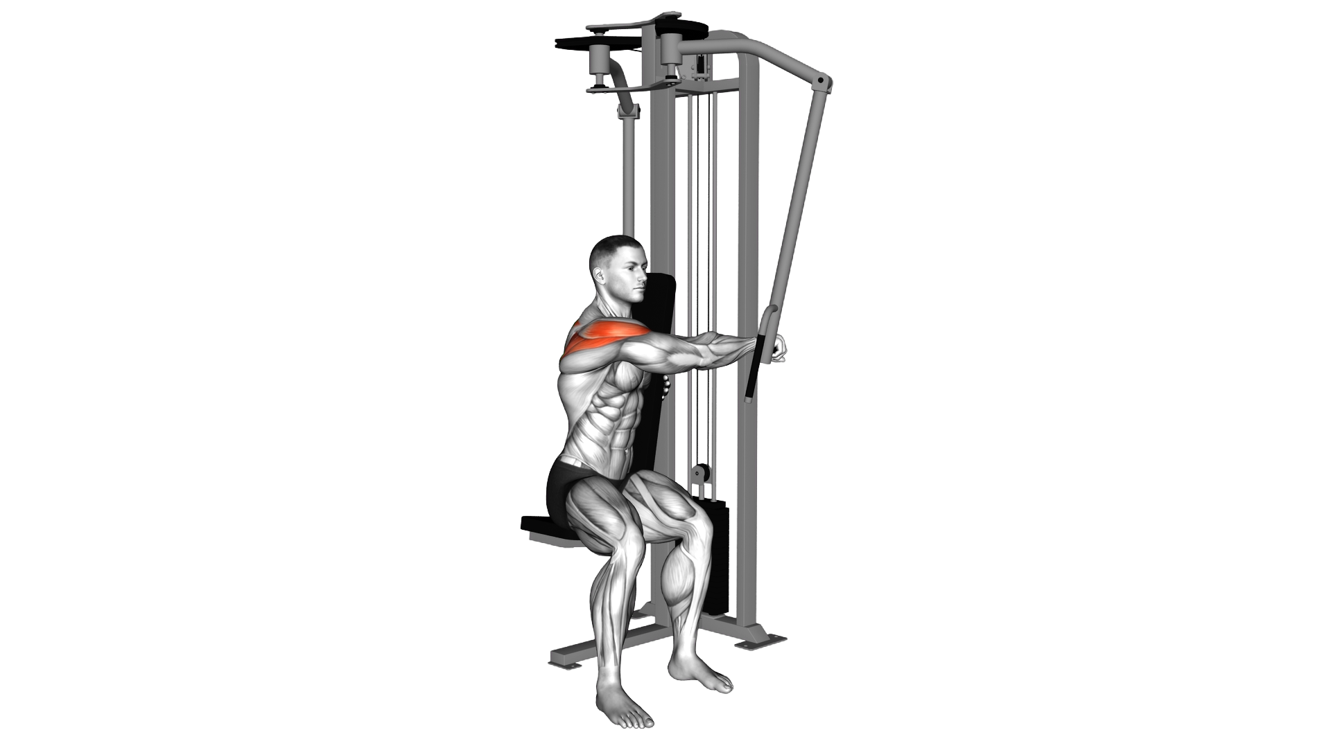 Lever Side Seated Single Arm Rear Delt Fly exercise demonstration