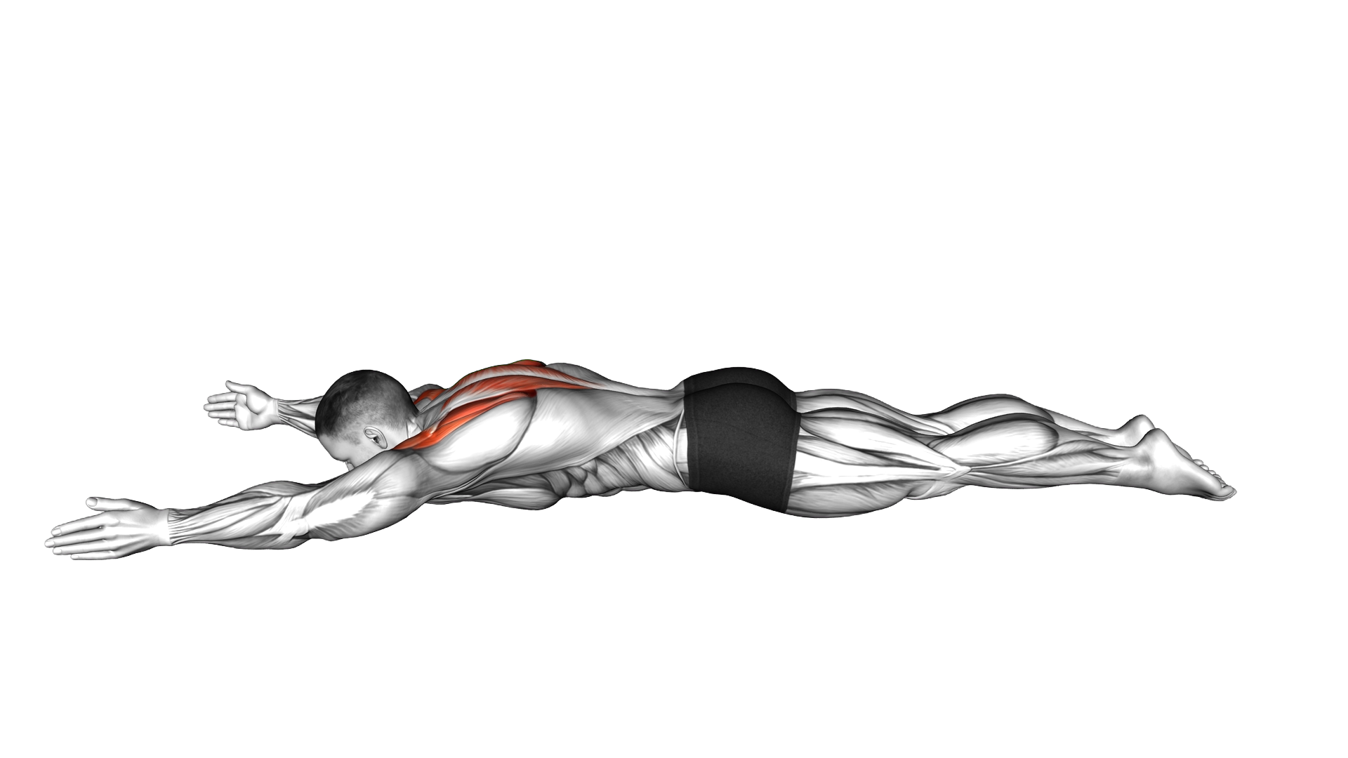 Lying Prone V Lift exercise demonstration
