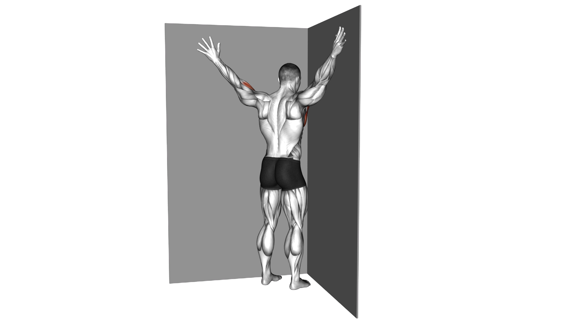 Coner Wall Chest Stretch exercise demonstration