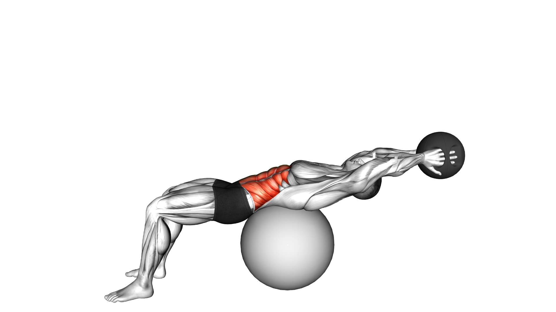 Medicine Ball Crunch on Stability Ball exercise demonstration